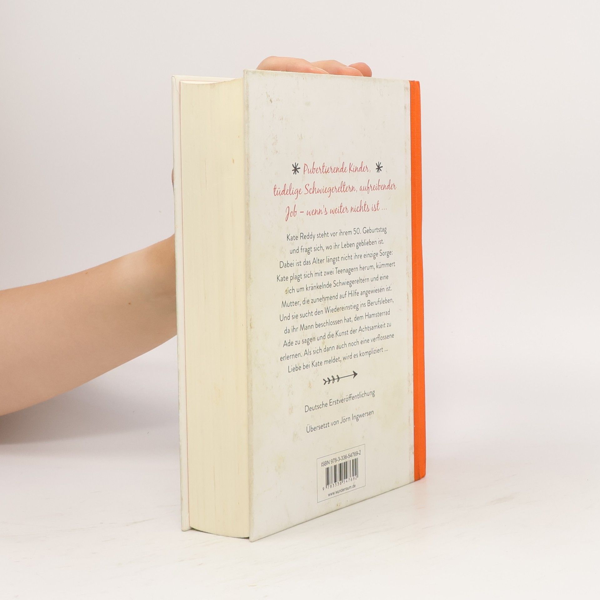 Allison Pearson Wenn's weiter nichts ist