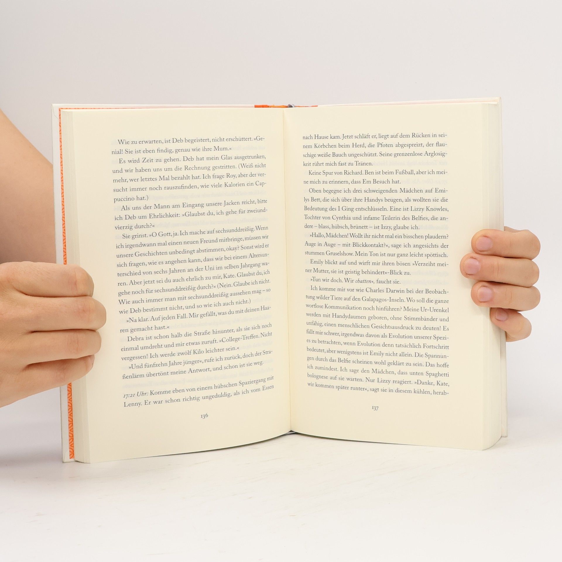 Allison Pearson Wenn's weiter nichts ist