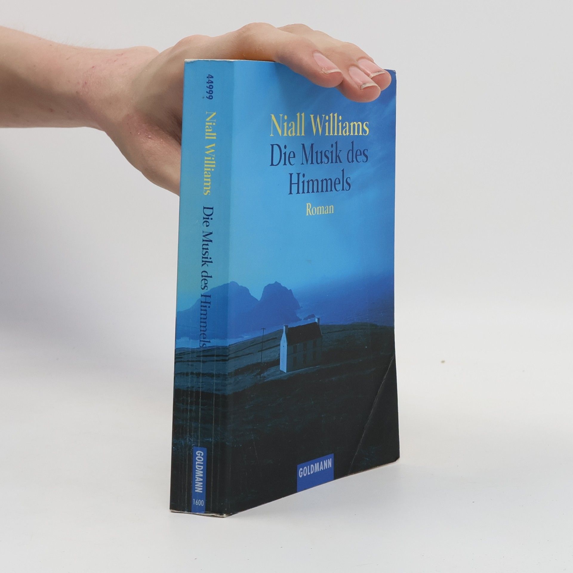 Niall Williams Die Musik des Himmels