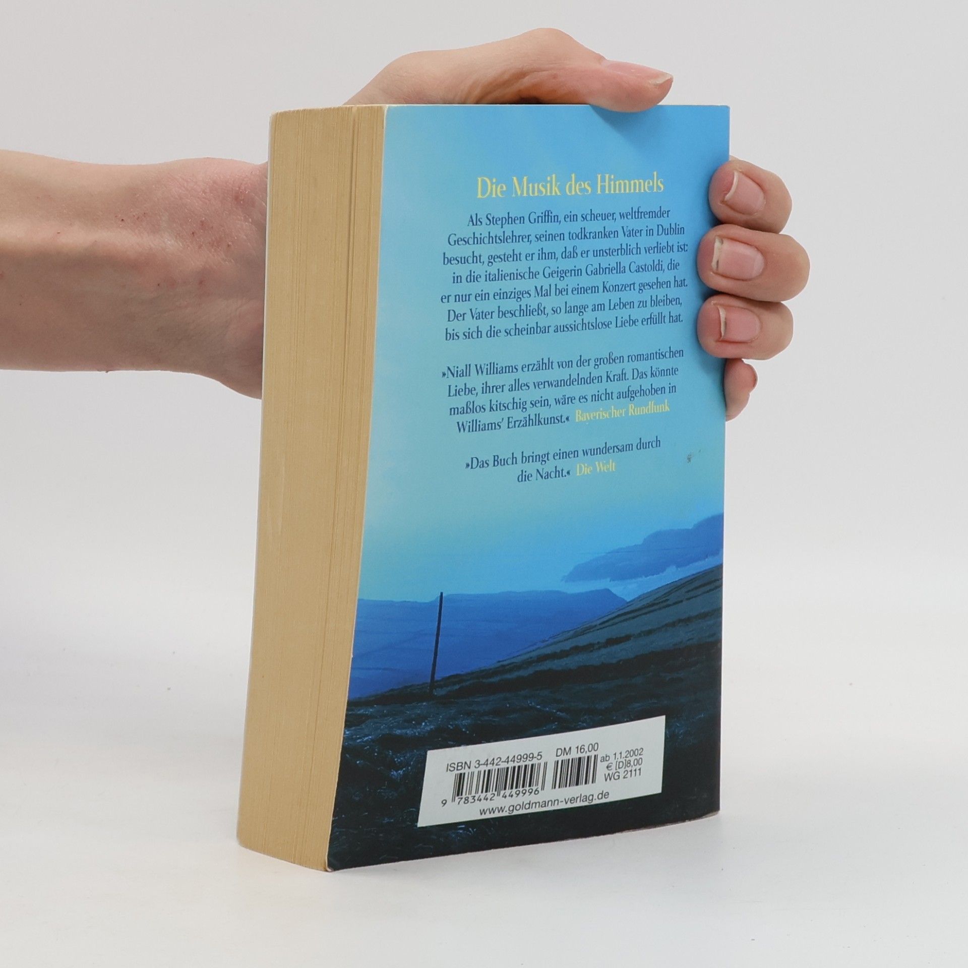 Niall Williams Die Musik des Himmels