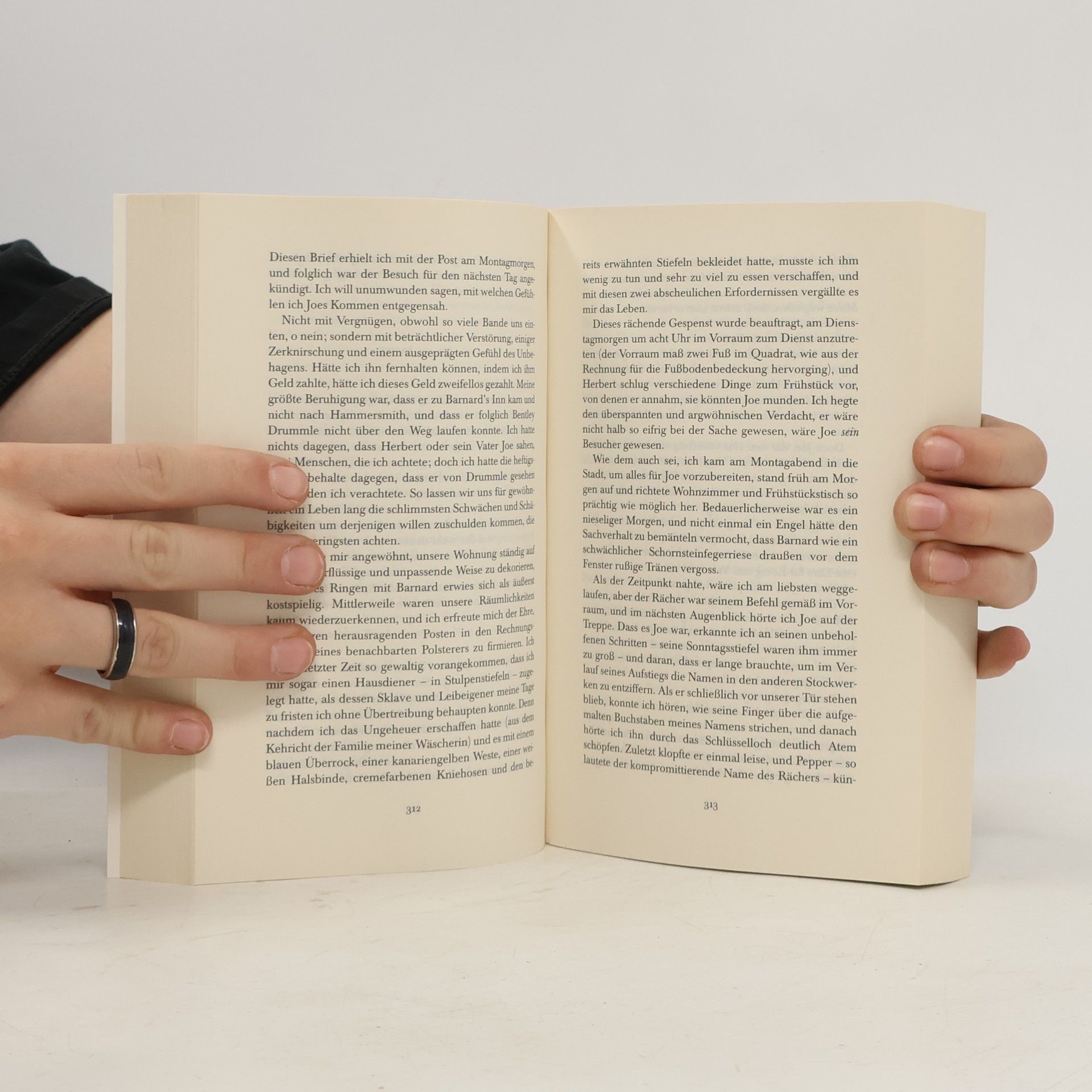 Charles Dickens Große Erwartungen