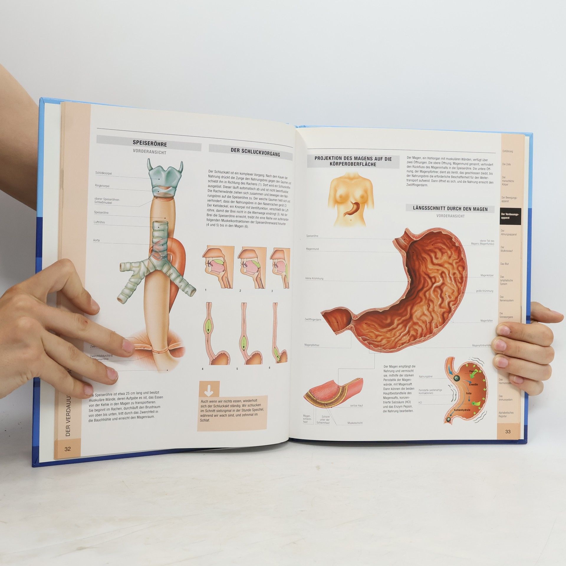 Ivana Jokl Anatomie-Atlas