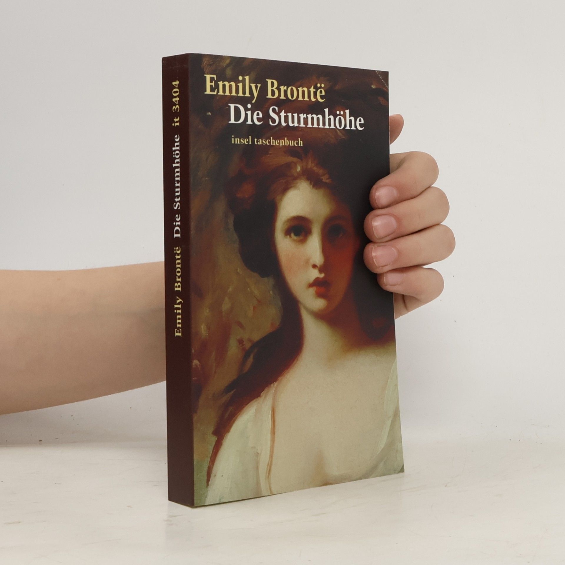 Emily Brontë Die Sturmhöhe