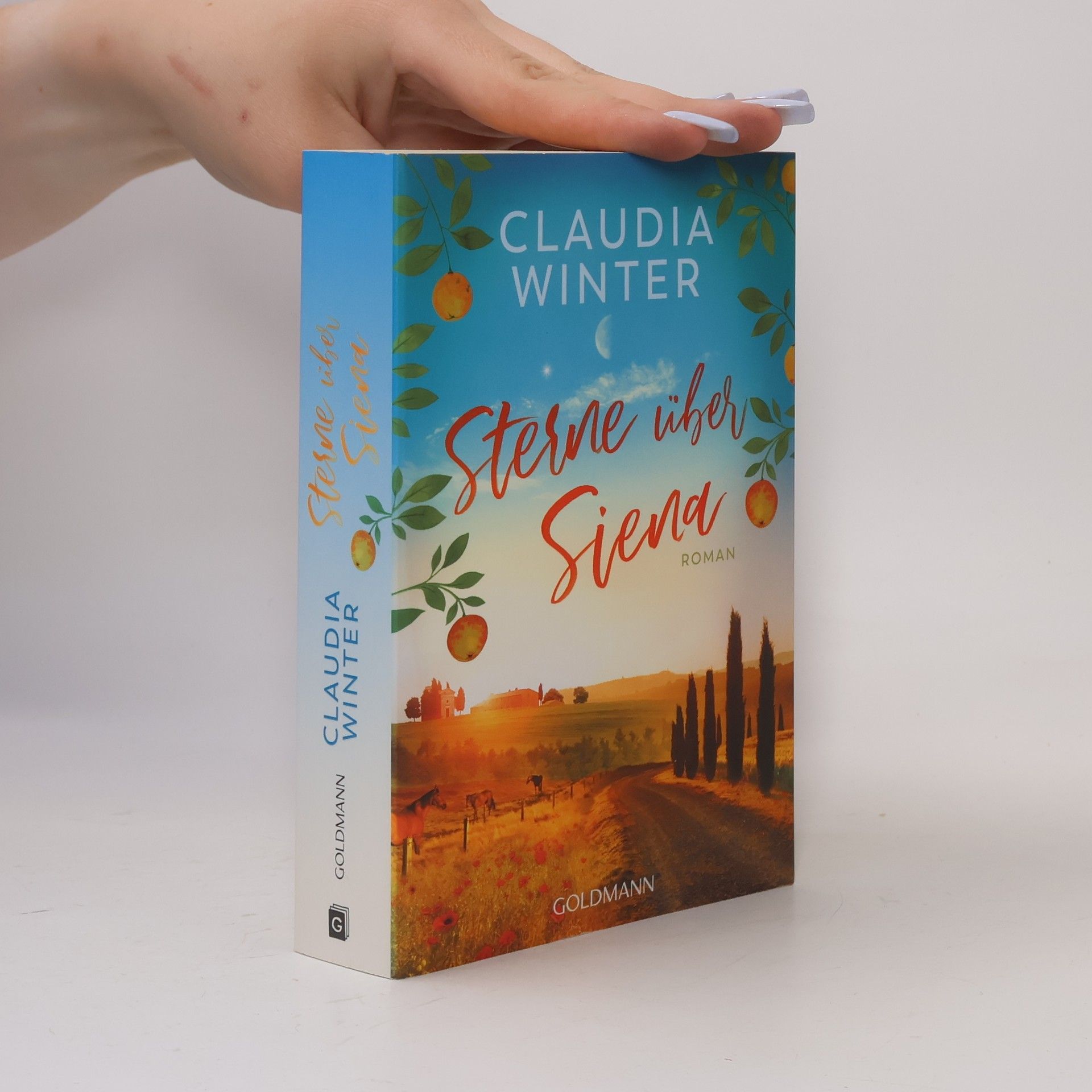 Claudia Winter Sterne über Siena