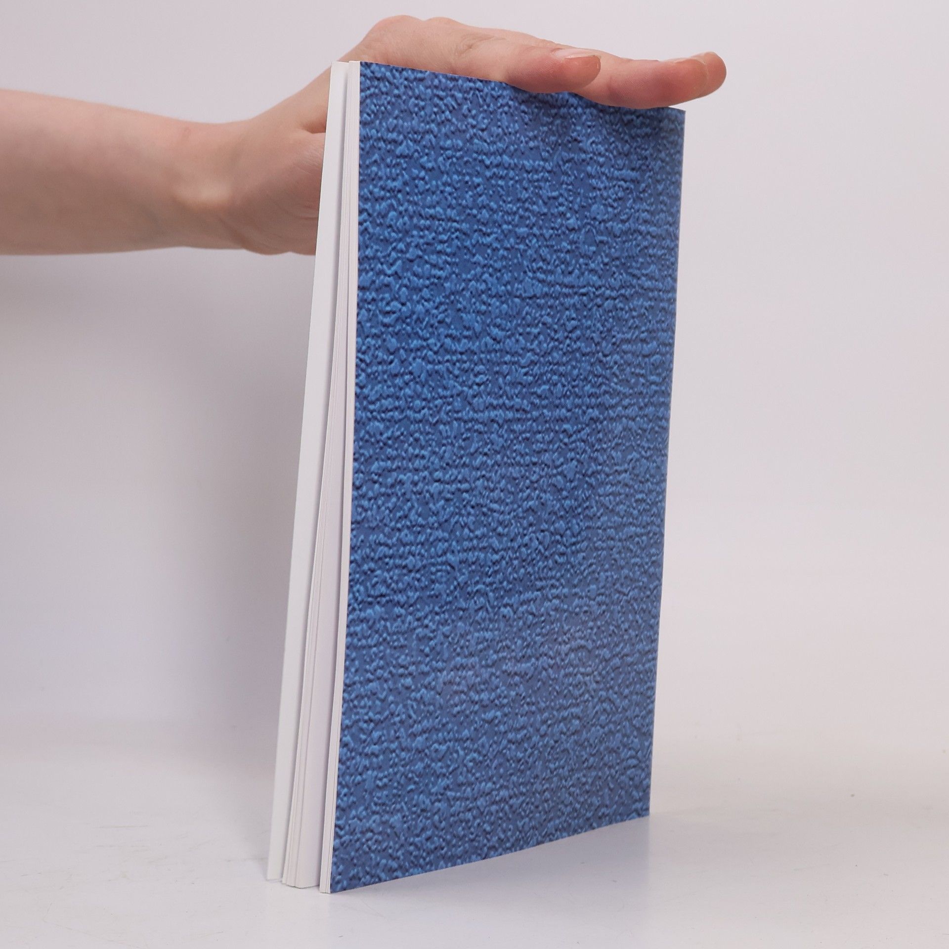 Various authors Dráždivé zóny. Návody na použití