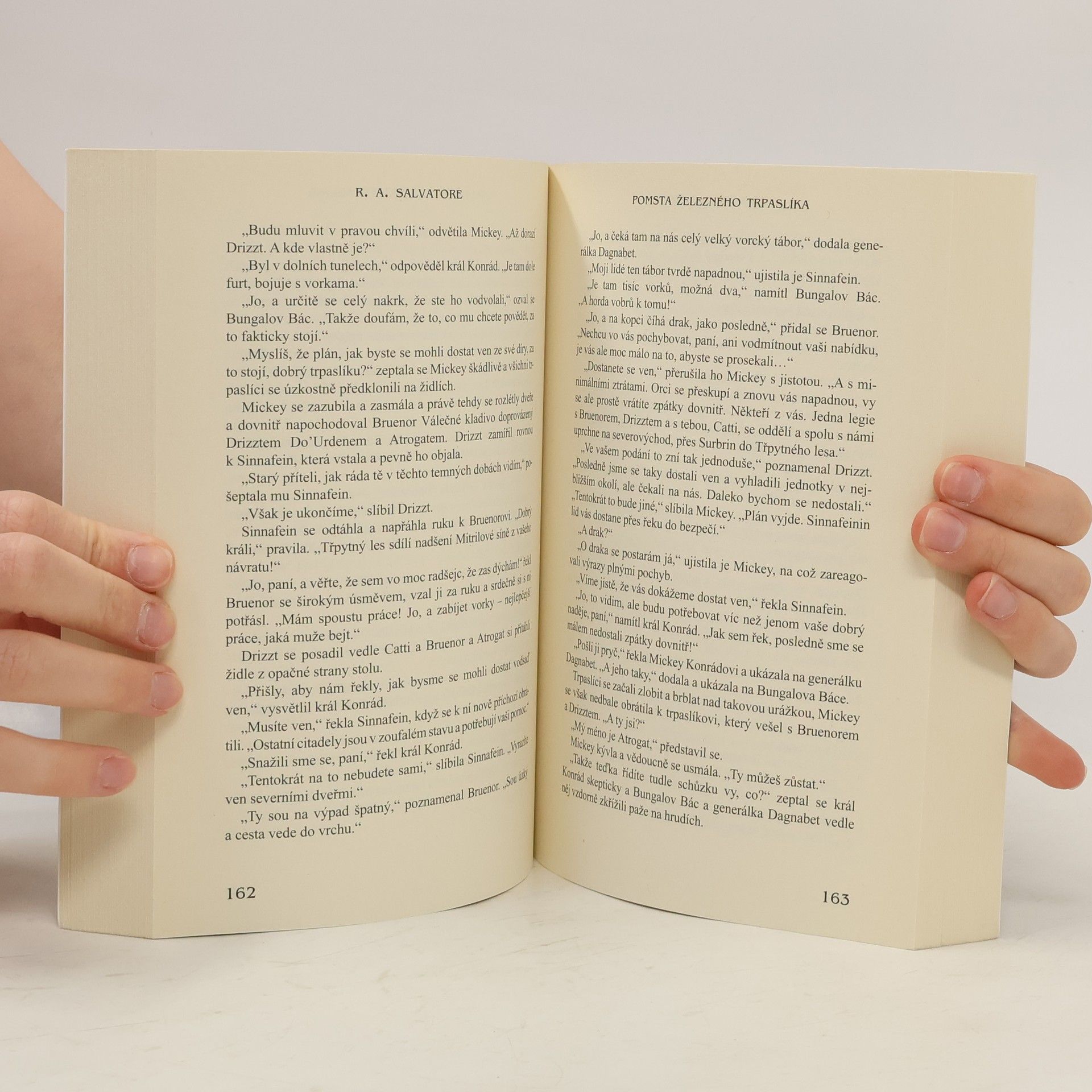 R. A. Salvatore Kodex společníků. III., Pomsta železného trpaslíka