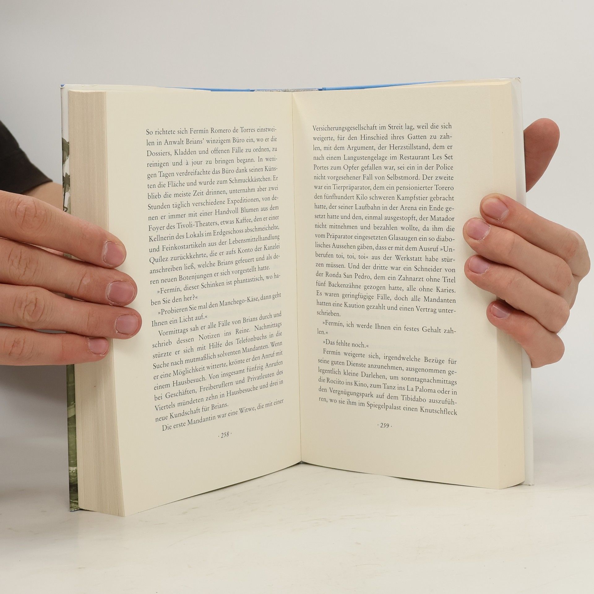 Carlos Ruiz Safon Der Gefangene des Himmels