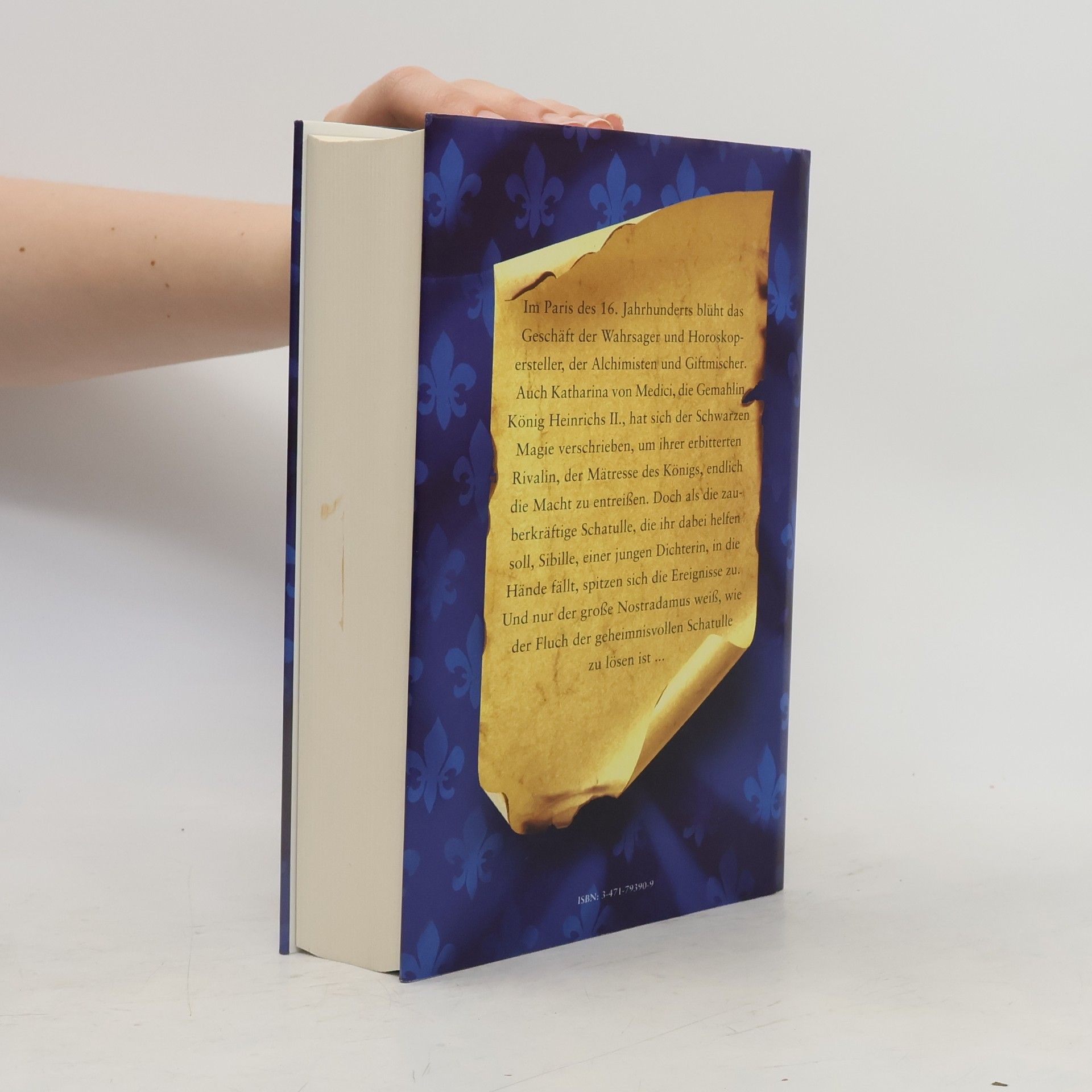 Judith Merkle Riley Die geheime Mission des Nostradamus
