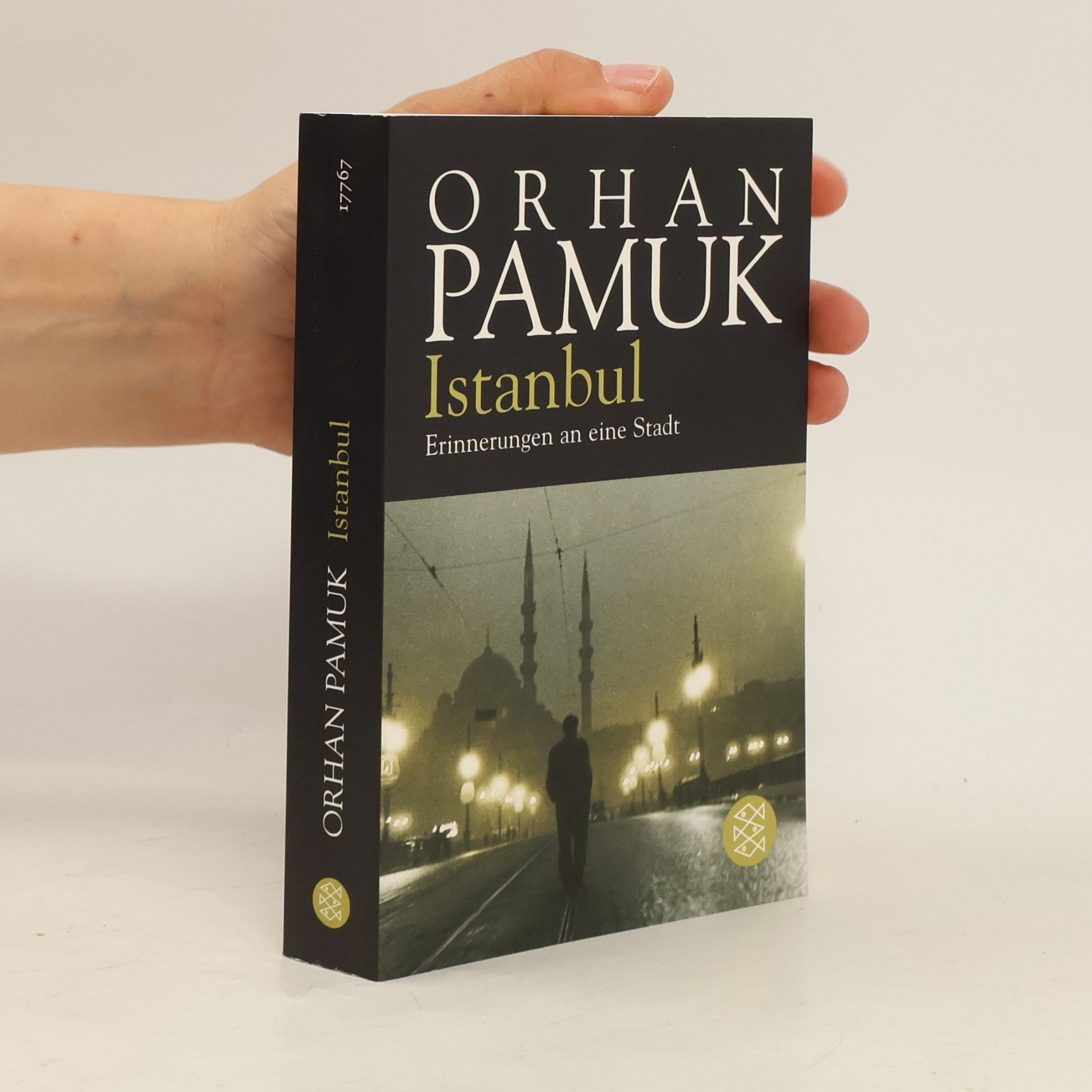 Orhan Pamuk Istanbul - Erinnerungen an eine Stadt