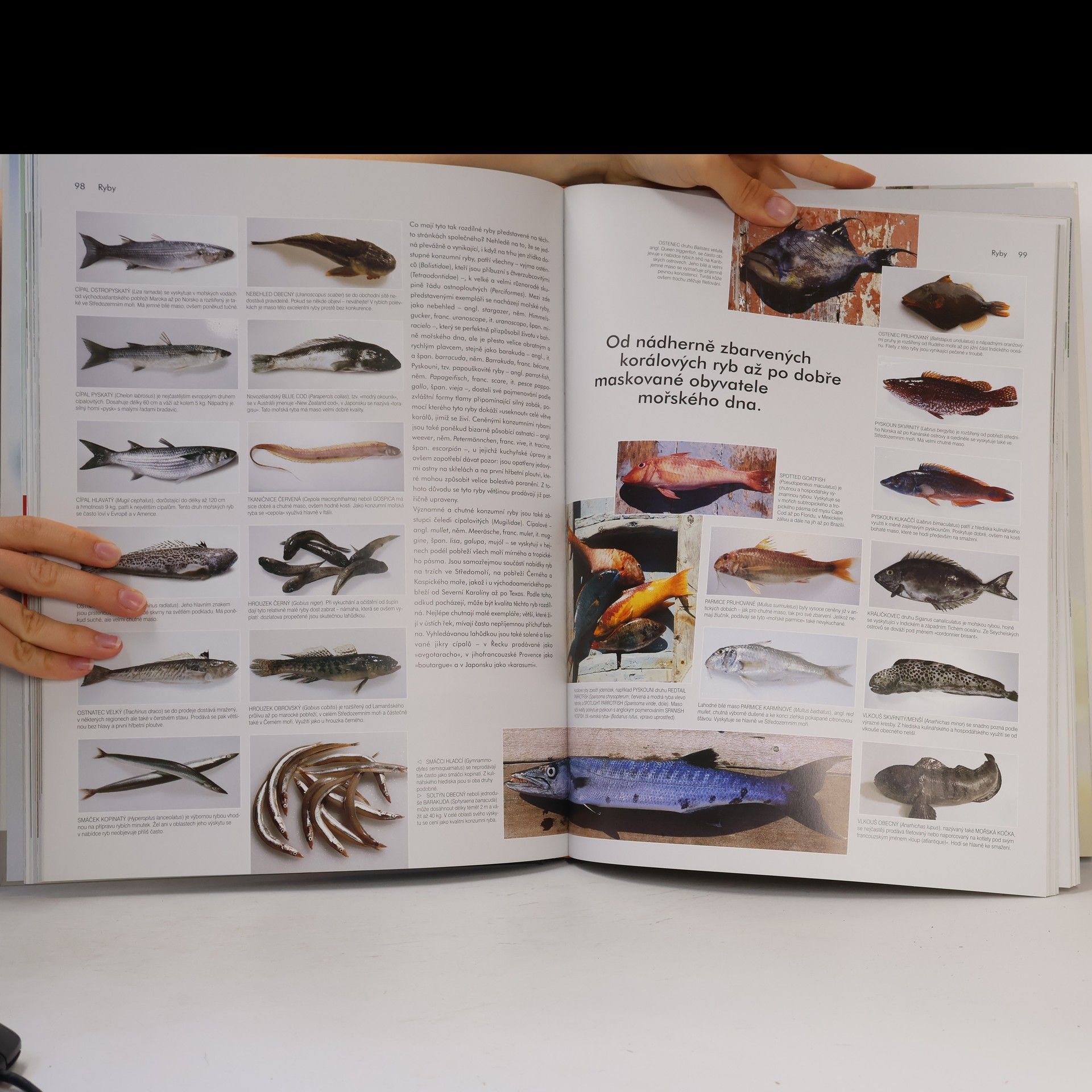 Christian Teubner Food. Bible šéfkuchaře