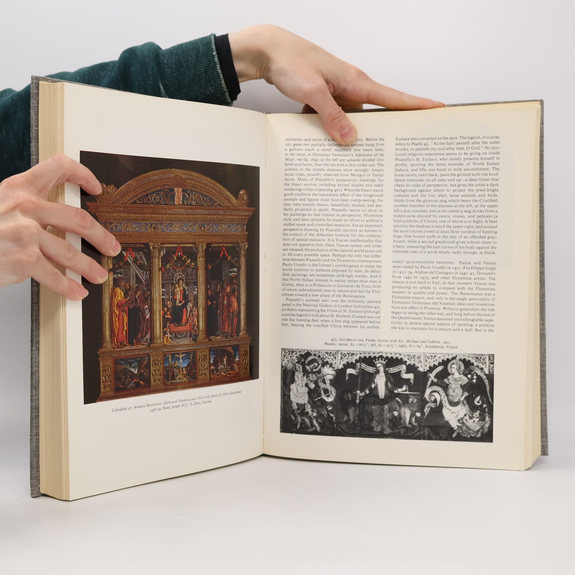 Frederick Hartt History of Italian Renaissance Art