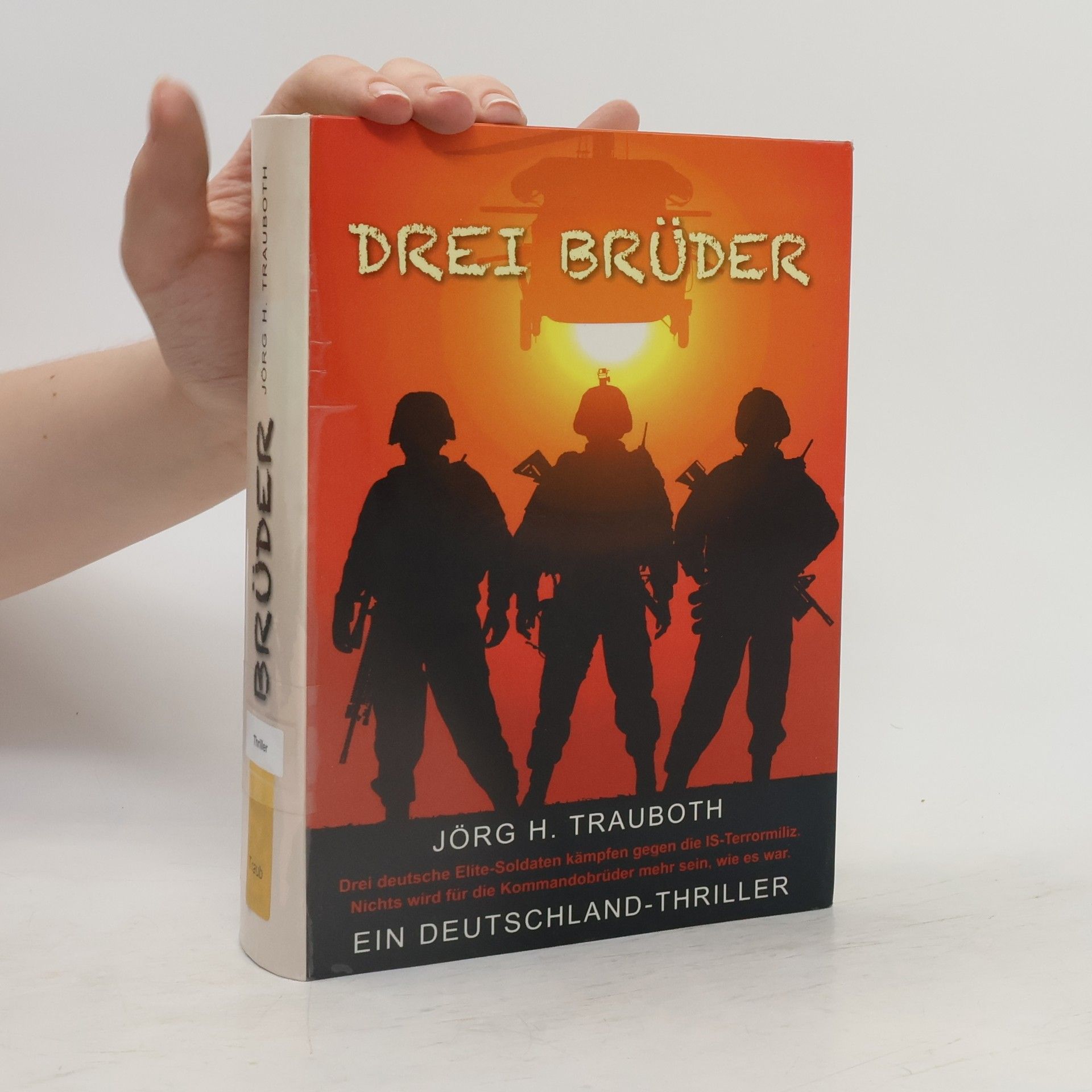 Jörg H. Trauboth Drei Brüder