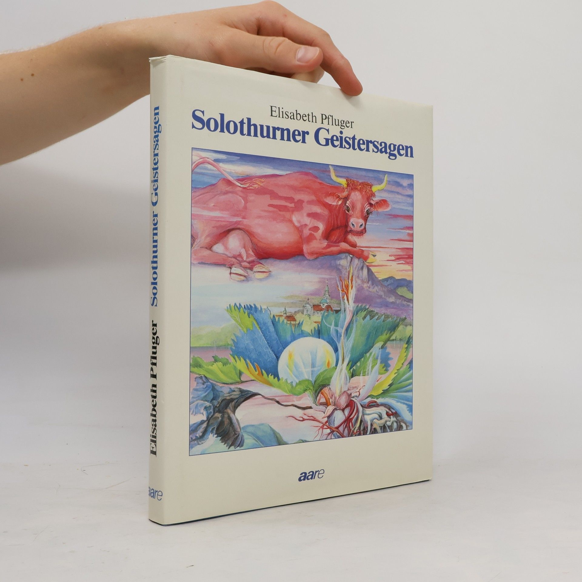 Elisabeth Pfluger Solothurner Geistersagen
