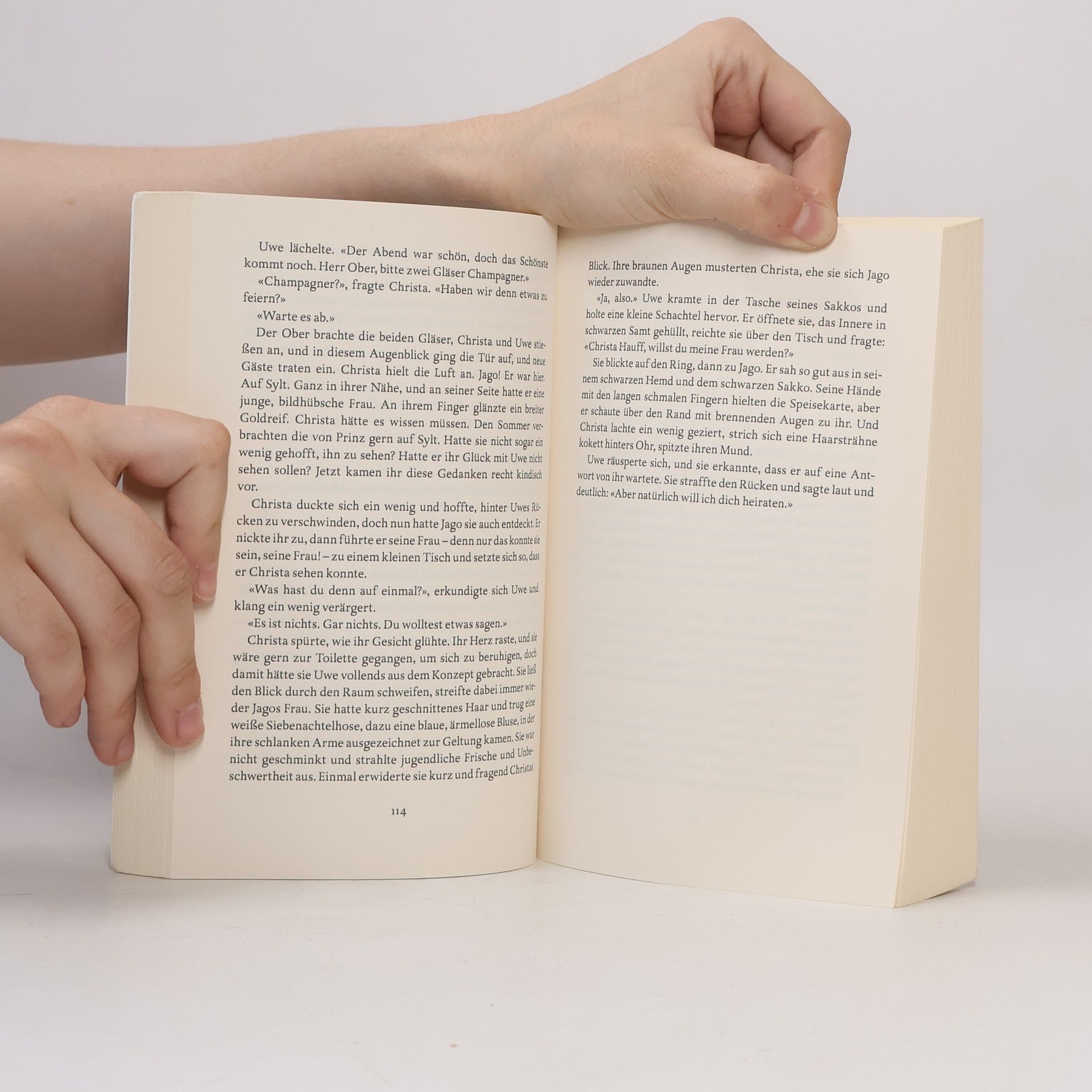 Ines Thorn Die Buchhändlerin: Die Macht der Worte