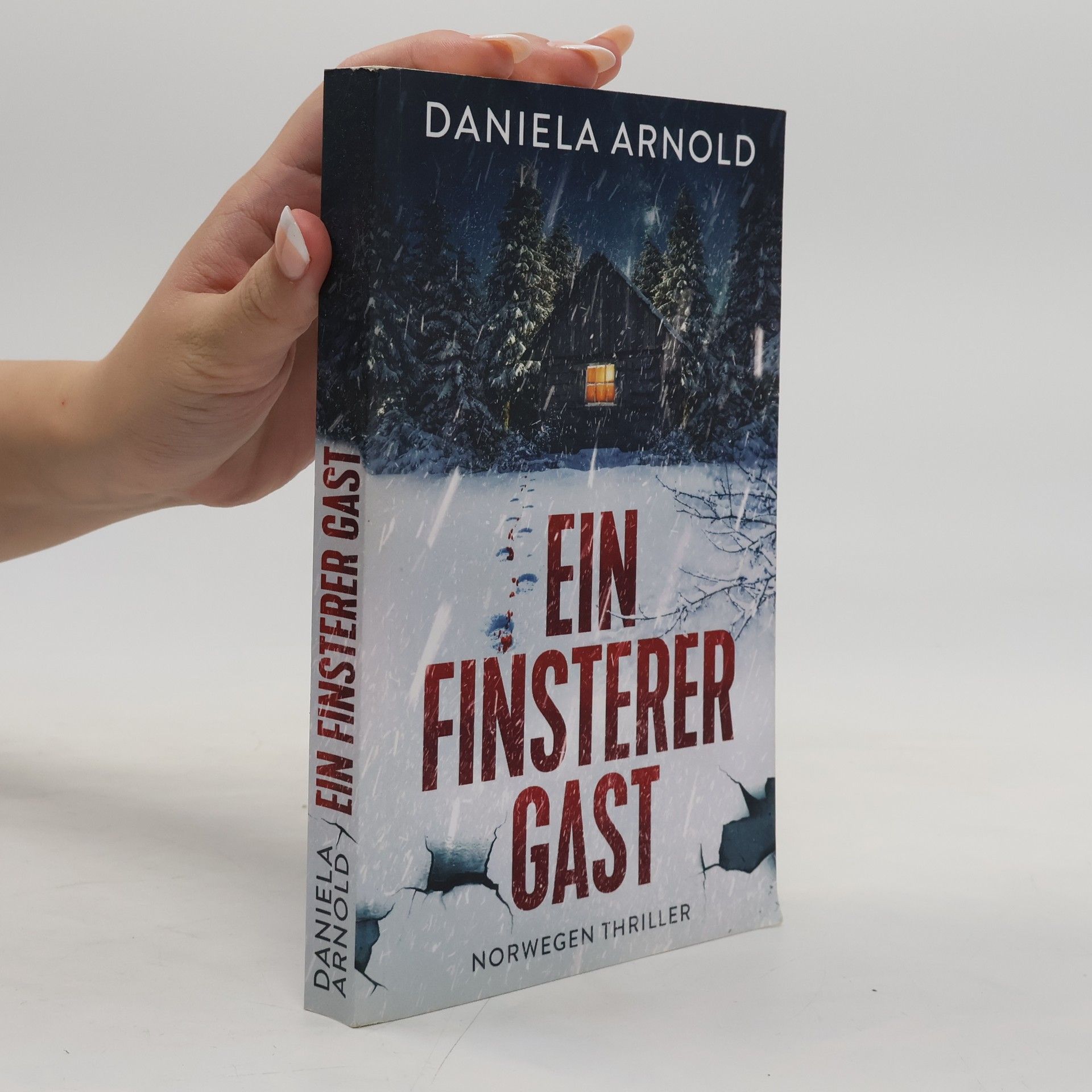 Daniela Arnold Ein finsterer Gast