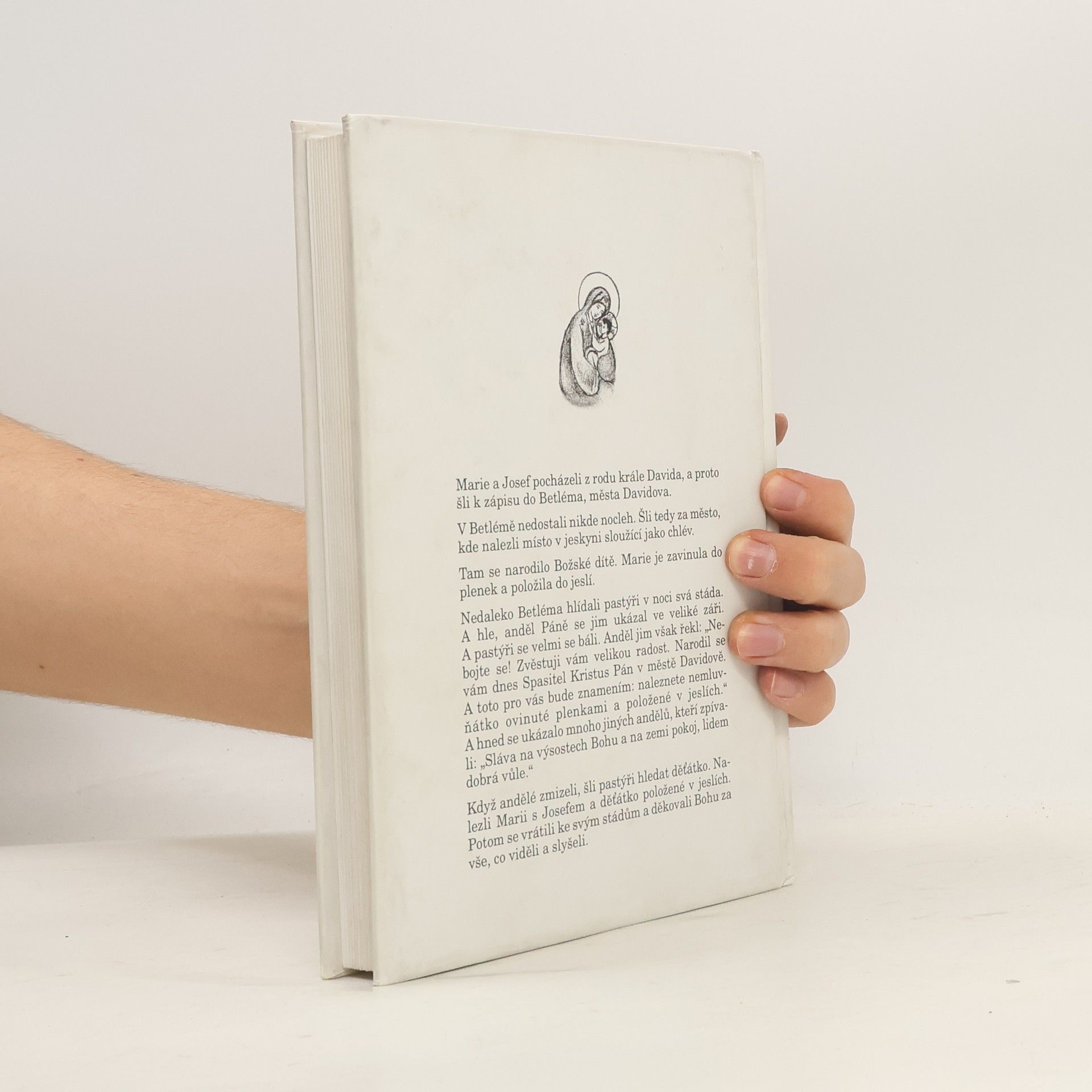 Alois Václav Ševčík Biblické dějiny pro děti