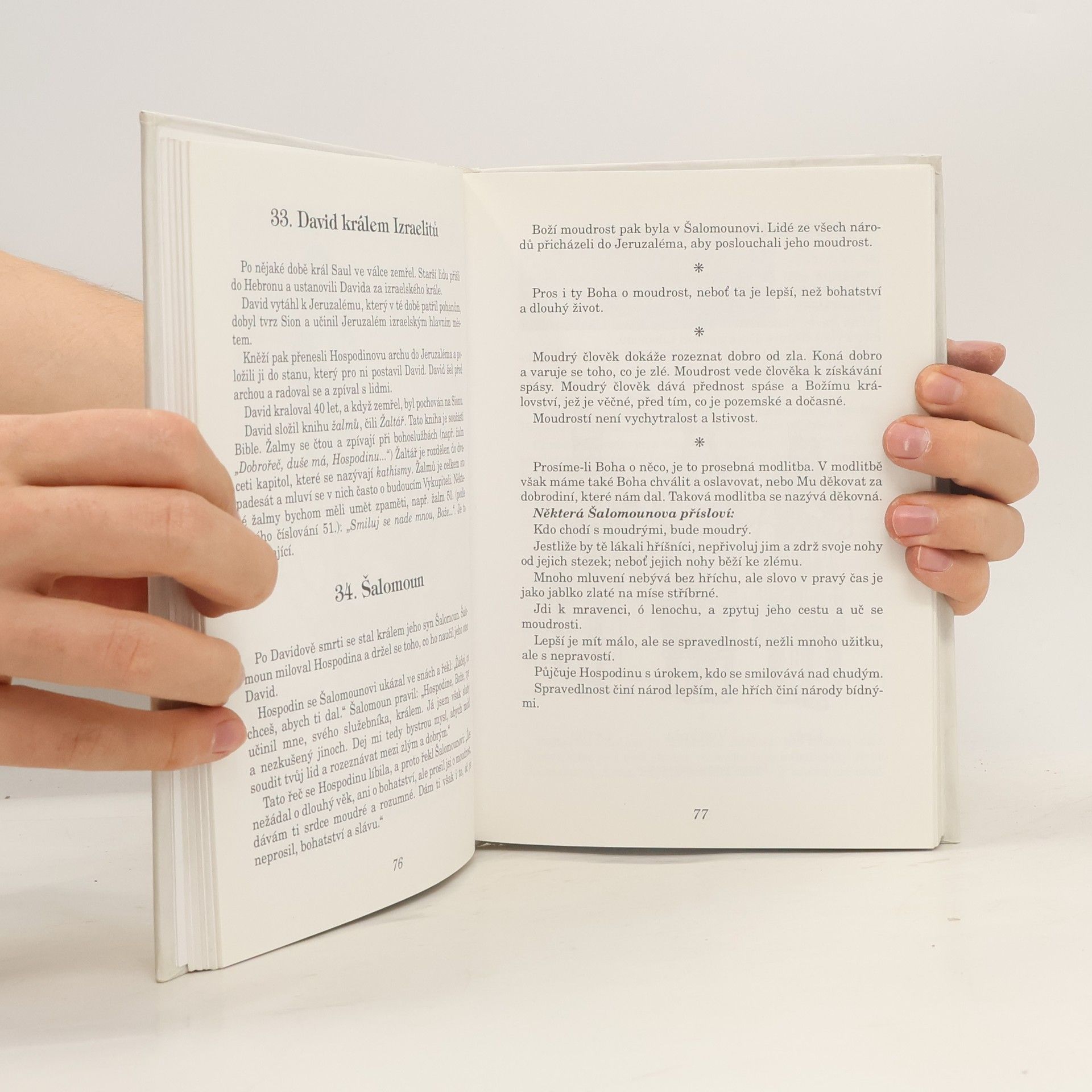 Alois Václav Ševčík Biblické dějiny pro děti