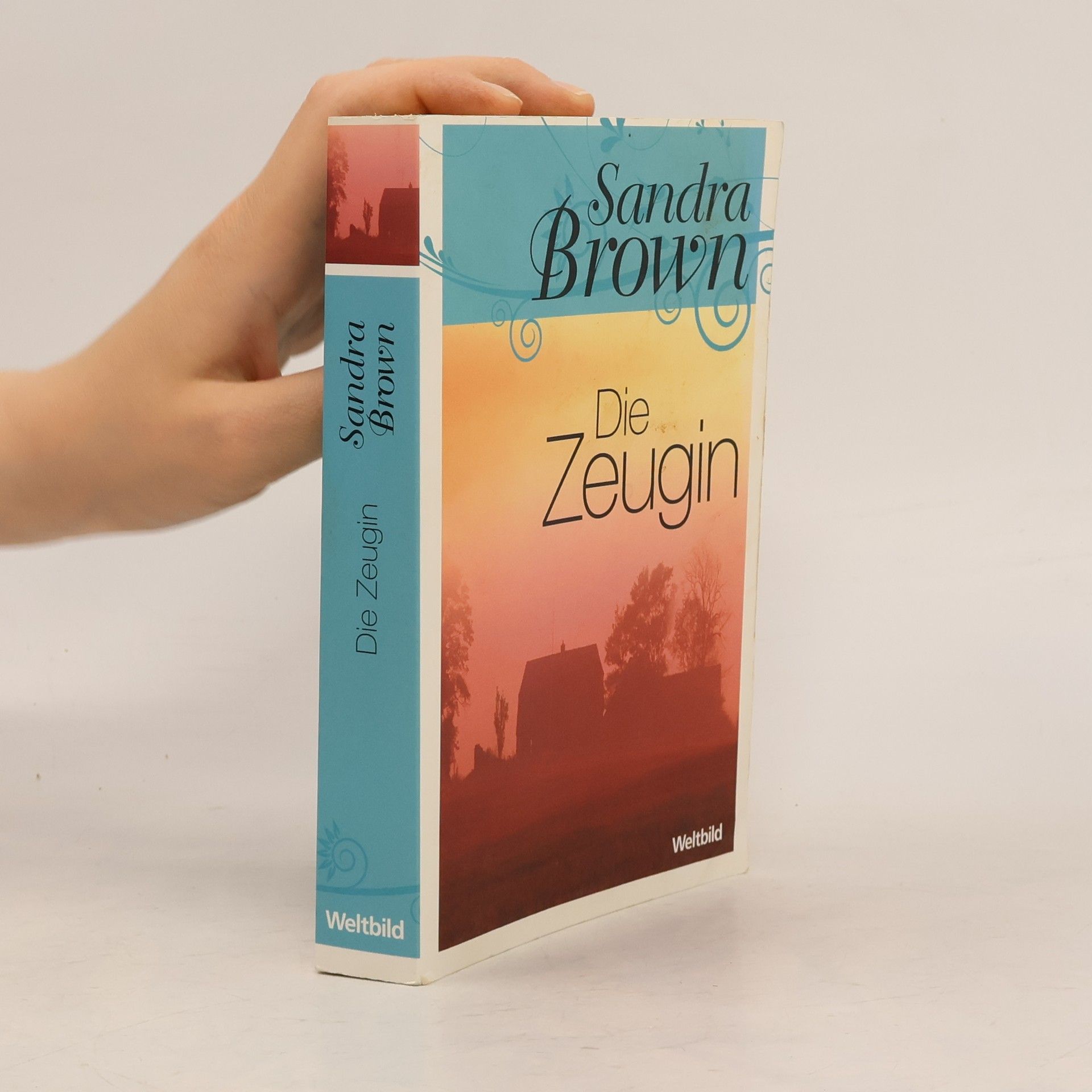 Sandra Brown Die Zeugin