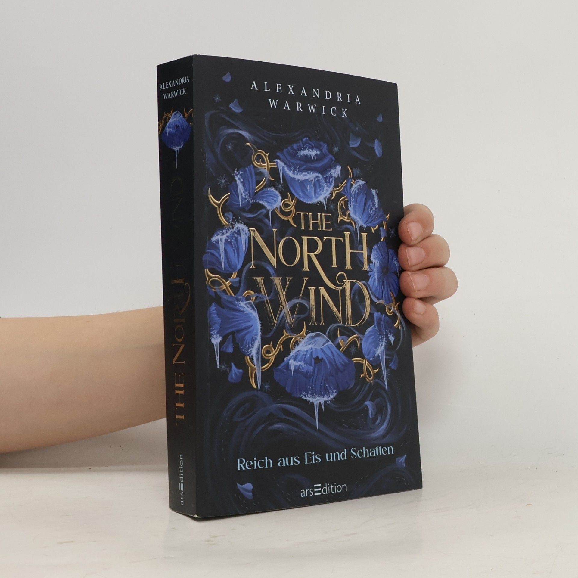 Alexandria Warwick The North Wind - Reich aus Eis und Schatten