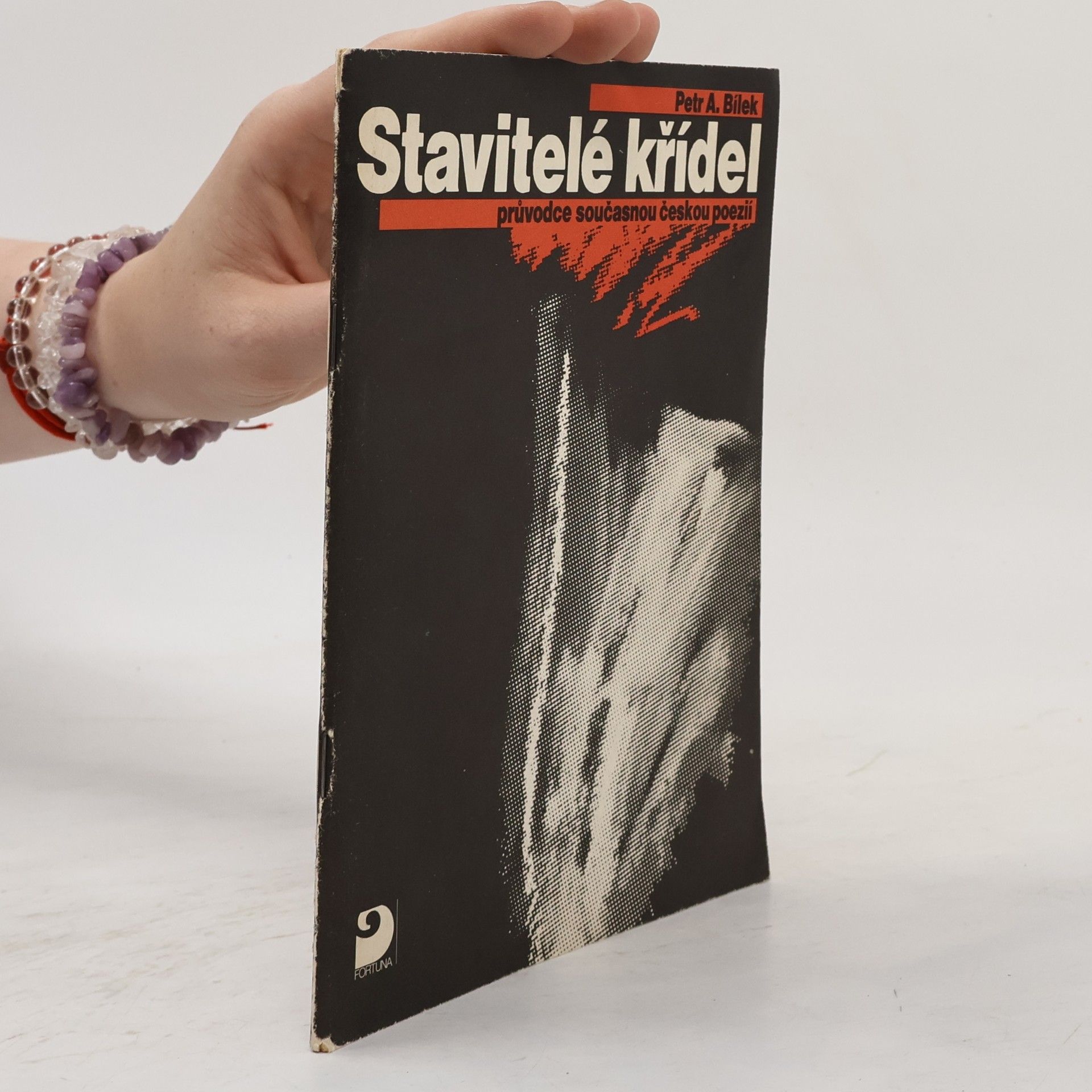 Petr A. Bílek Stavitelé křídel: průvodce současnou českou poezií