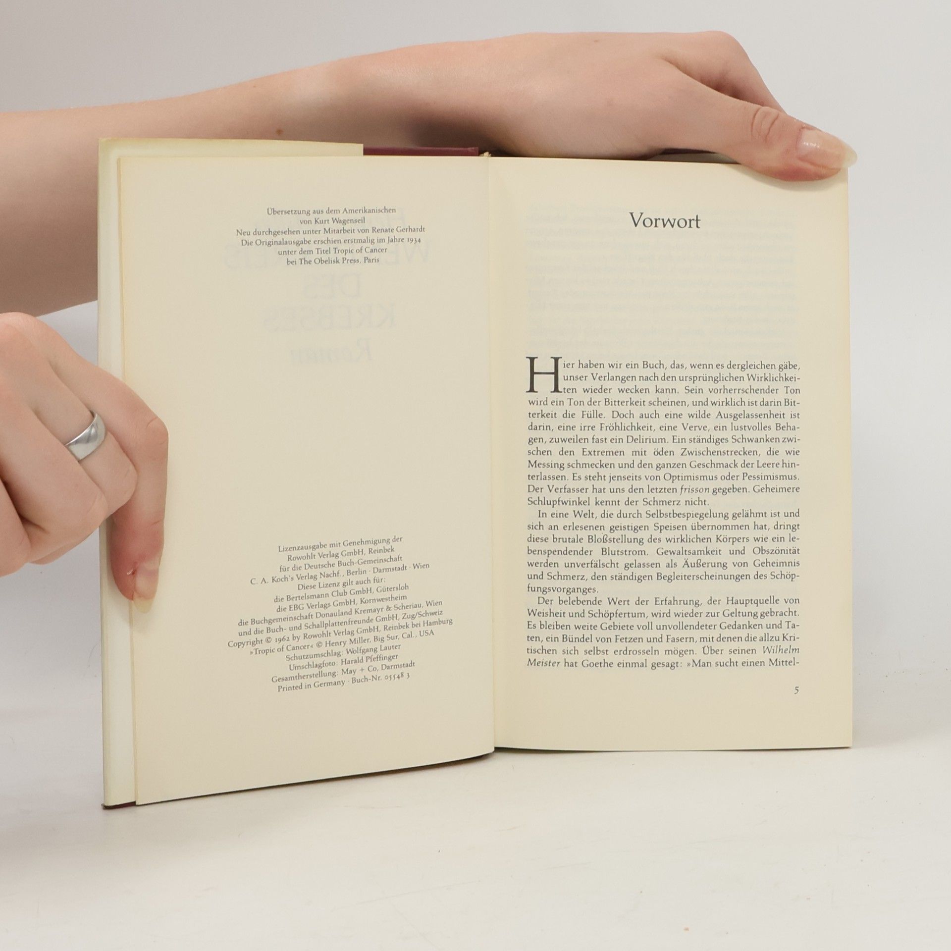 Henry Miller Wendekreis des Krebses