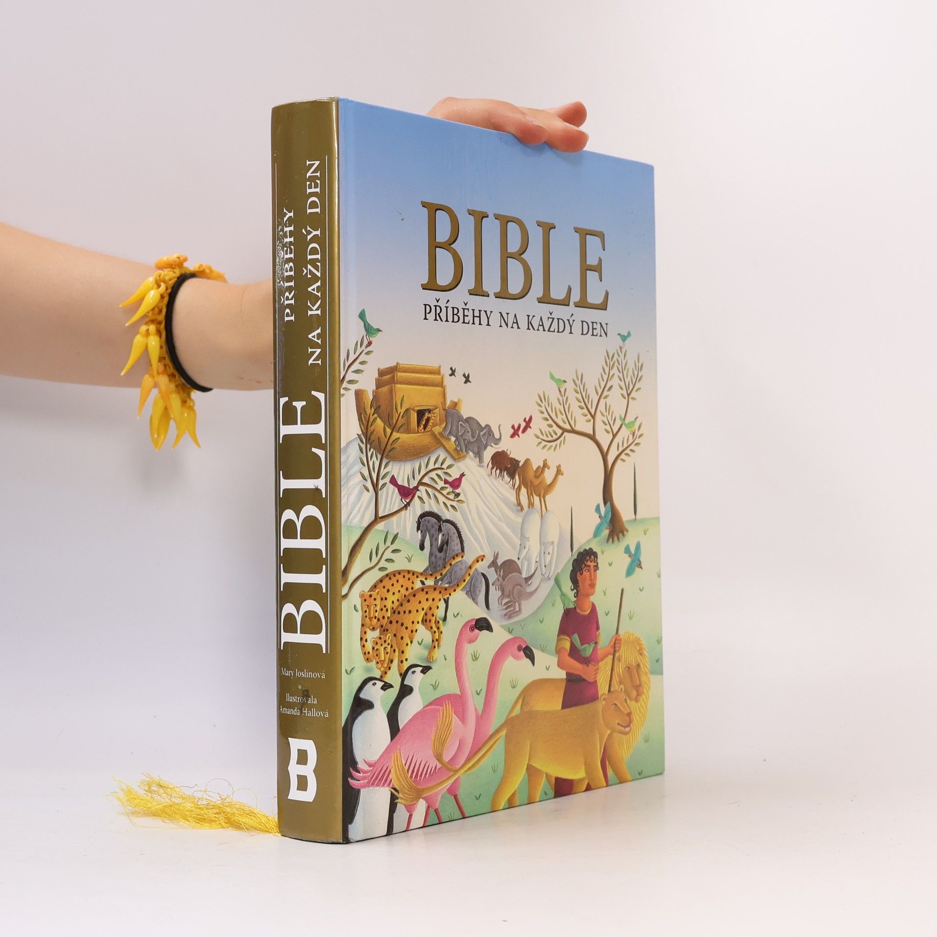 Amanda Hall Bible : příběhy na každý den