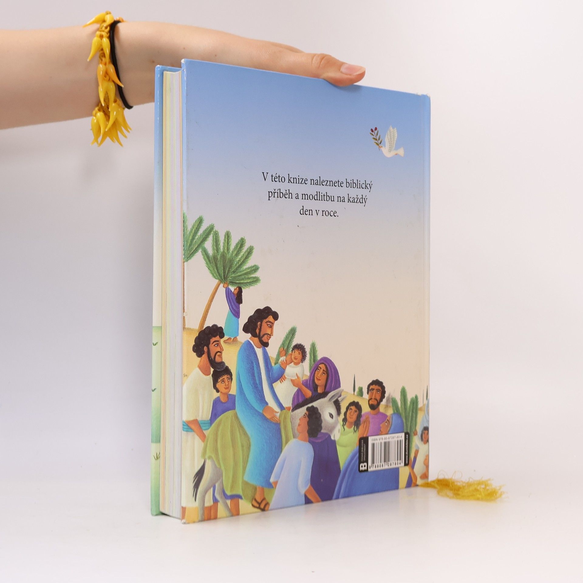 Mary Joslin Bible : příběhy na každý den