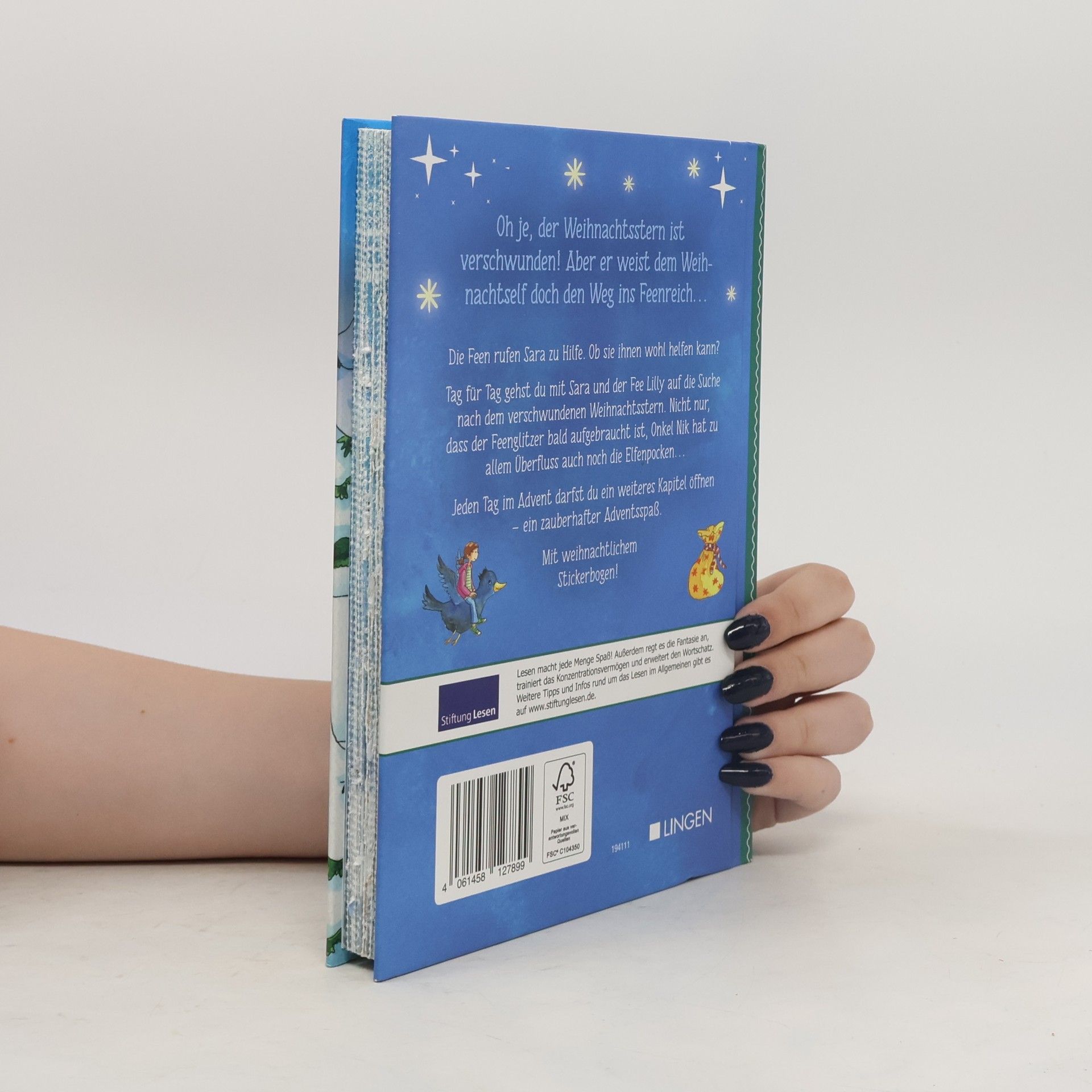 Corinna Wieja Adventskalenderbuch. Der verschwundene Weihnachtsstern