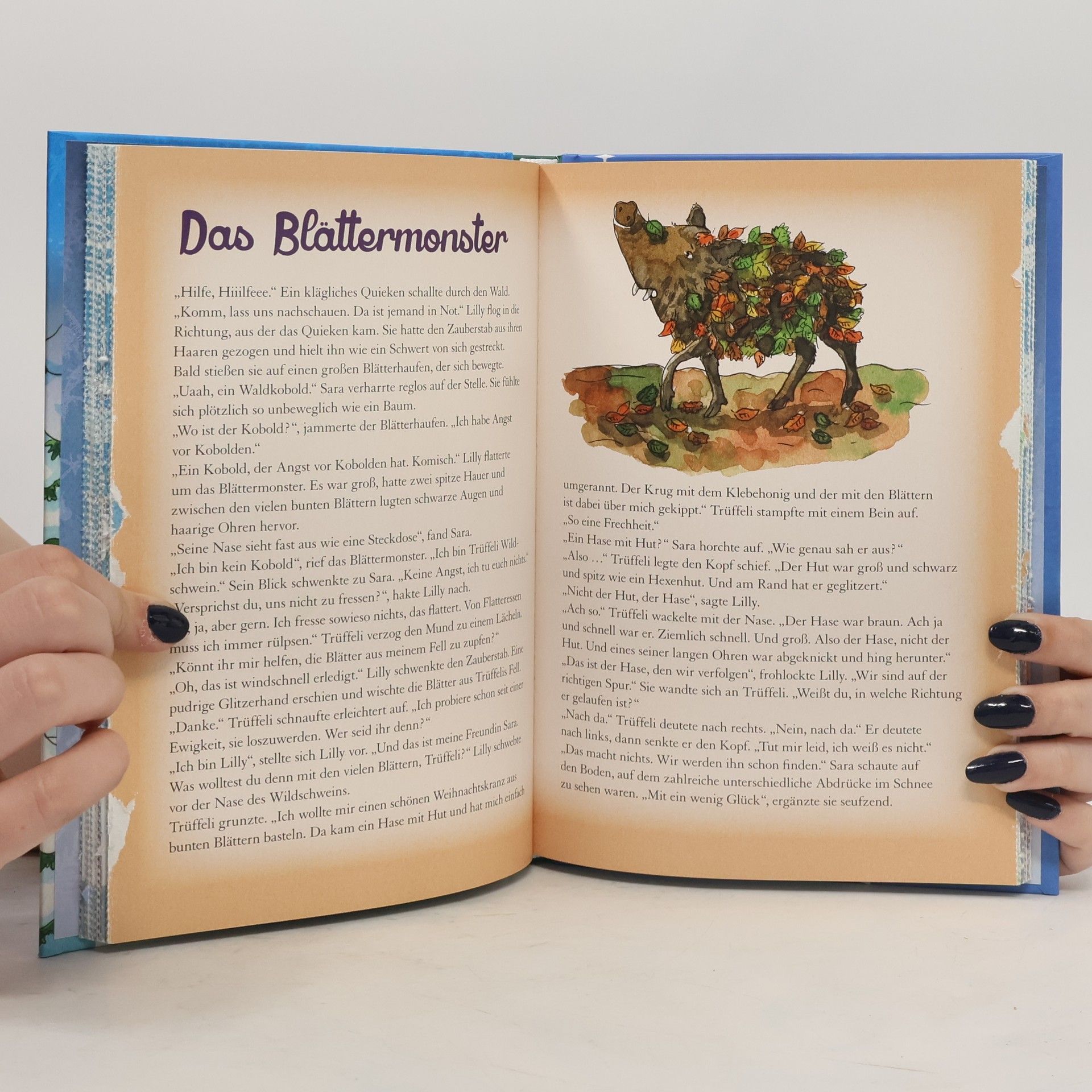 Corinna Wieja Adventskalenderbuch. Der verschwundene Weihnachtsstern