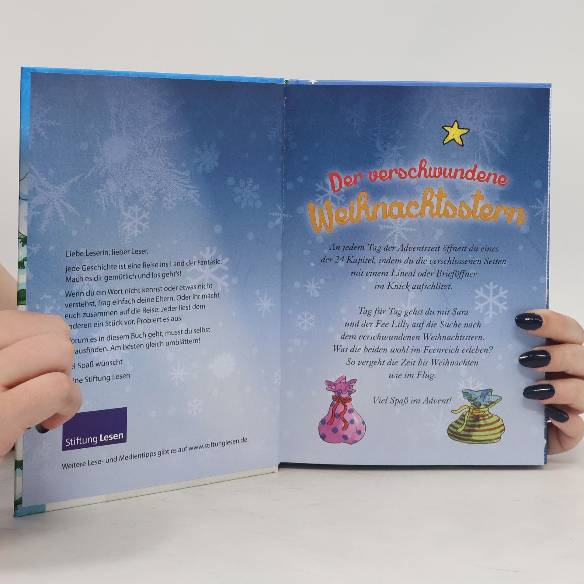 Corinna Wieja Adventskalenderbuch. Der verschwundene Weihnachtsstern