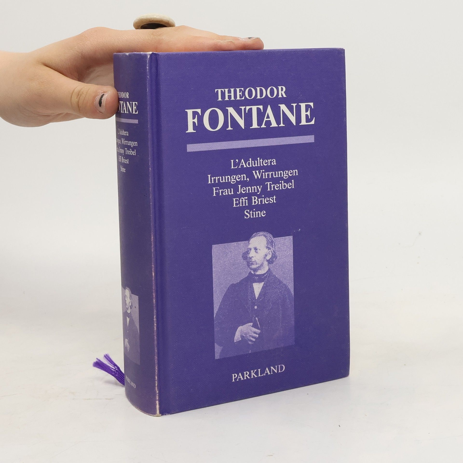 Theodor Fontane Frauenromane