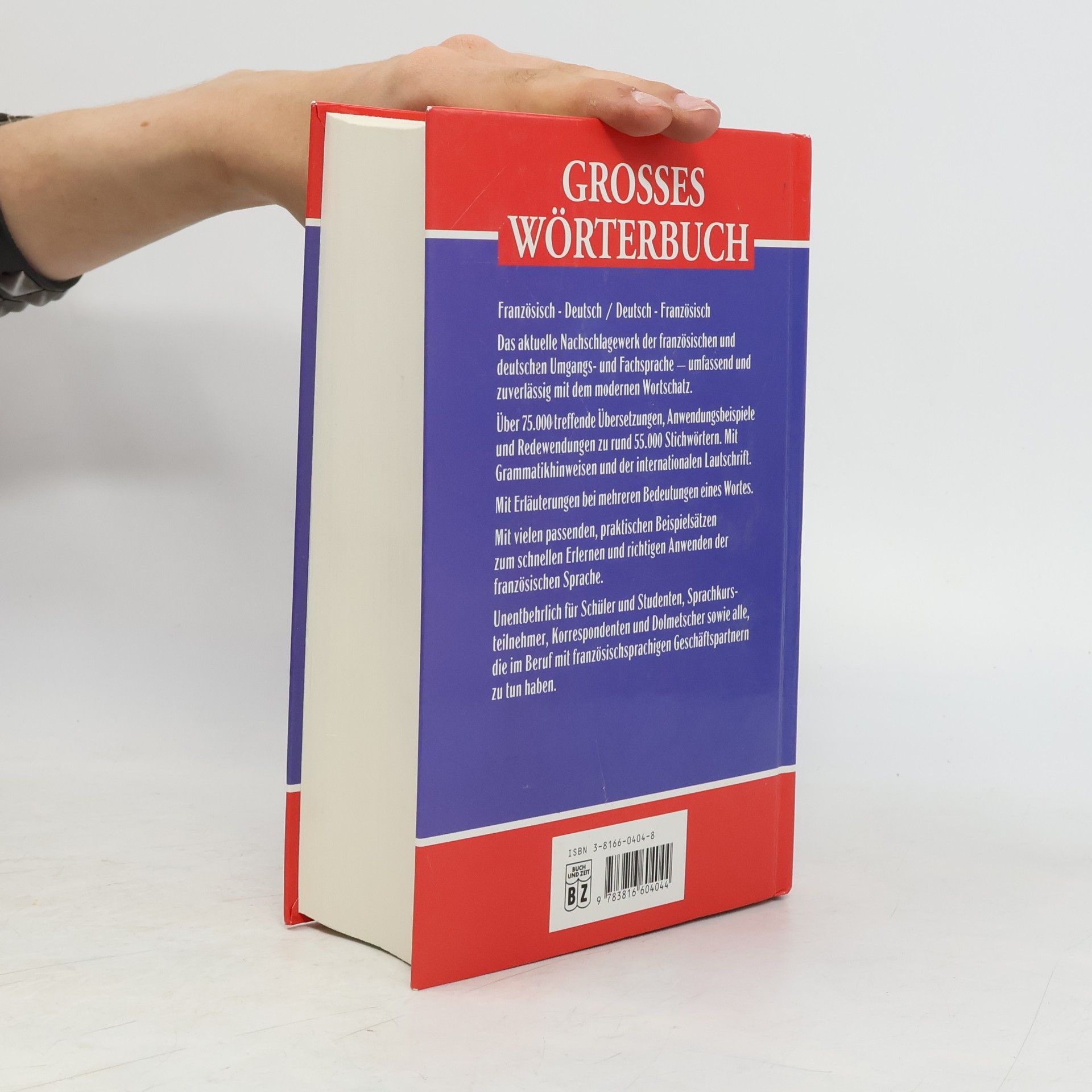Corinna Schulze Großes Wörterbuch Französisch
