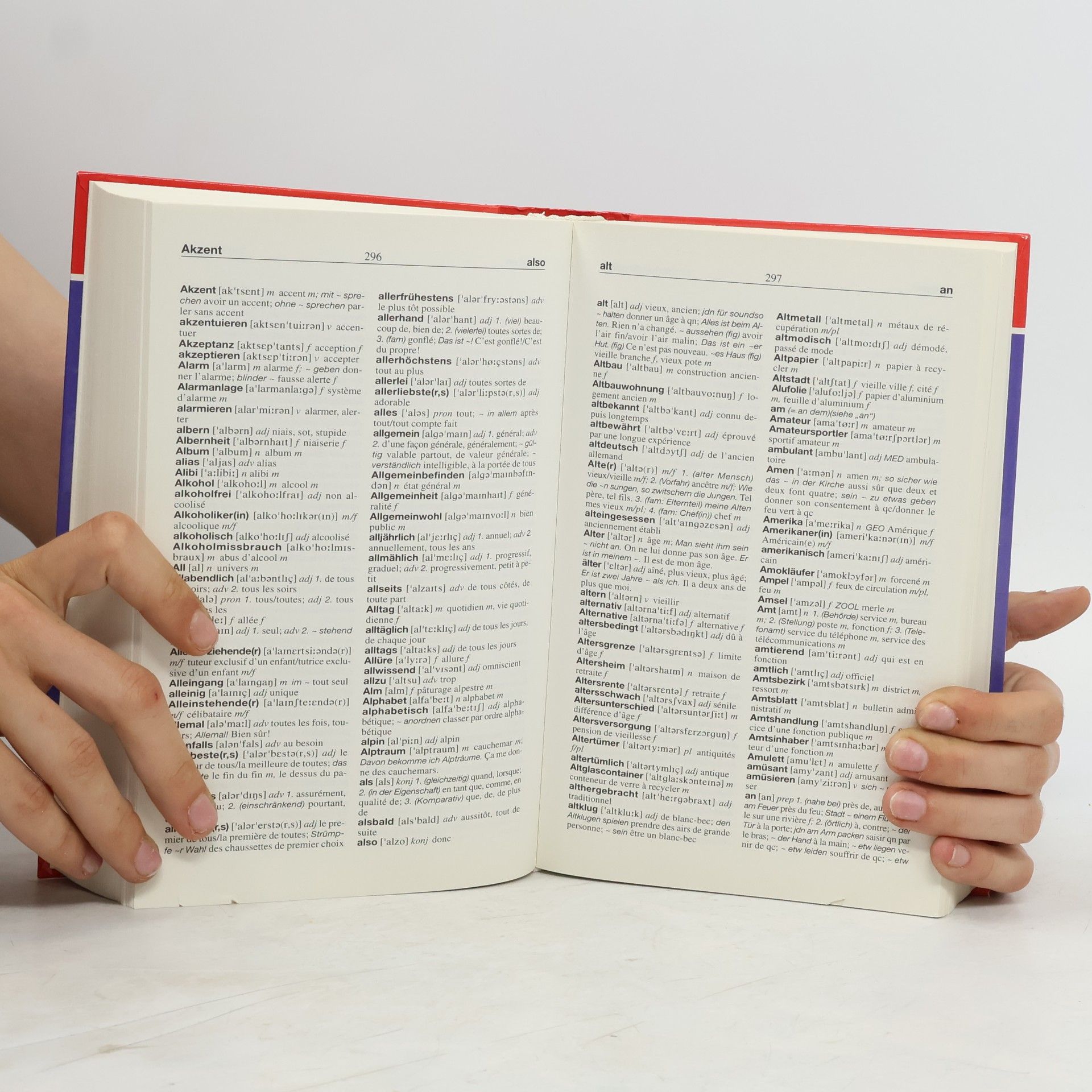 Corinna Schulze Großes Wörterbuch Französisch