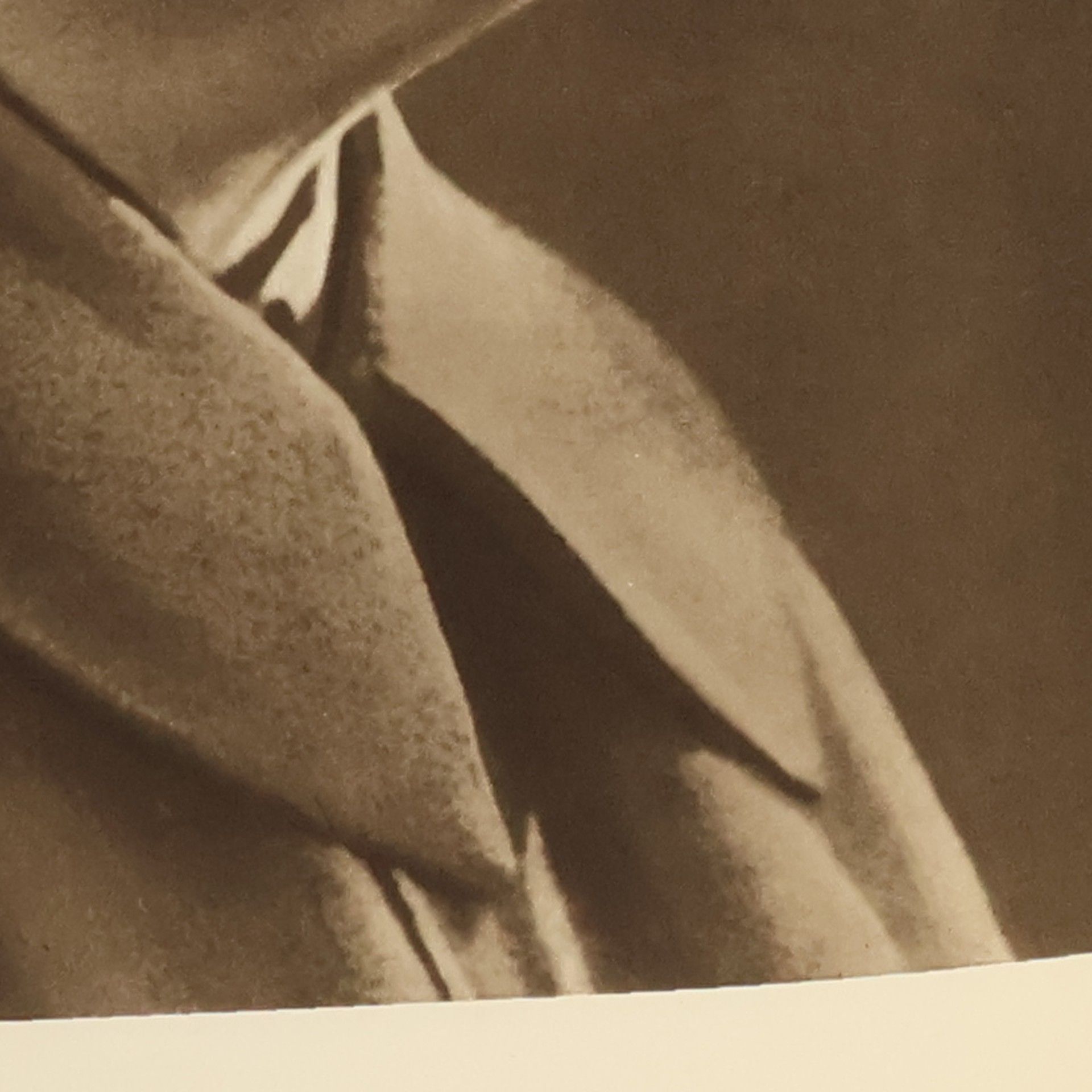 Karol Truchlik Stalin vo fotografii