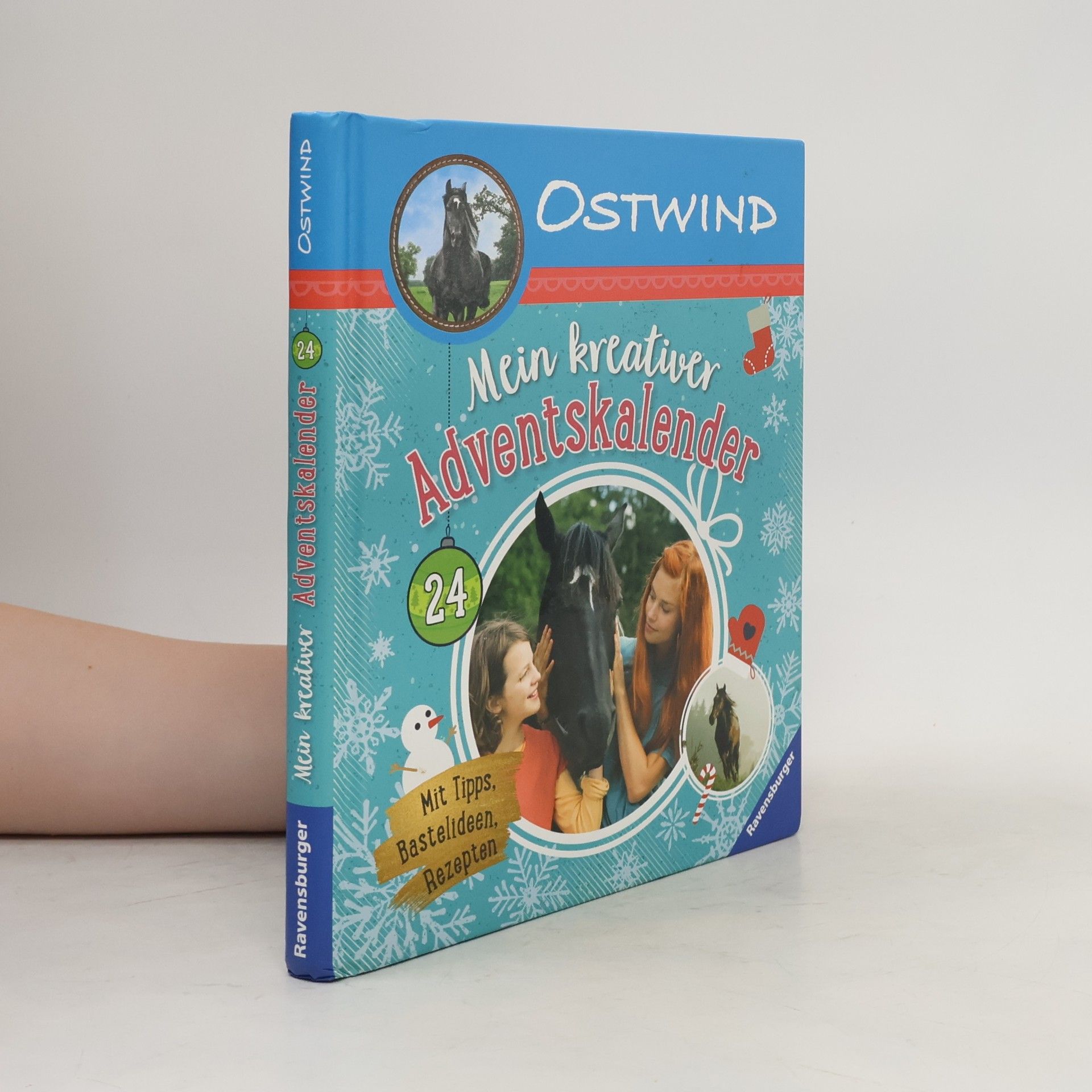Alias Entertainment GmbH Ostwind: Mein kreativer Adventskalender