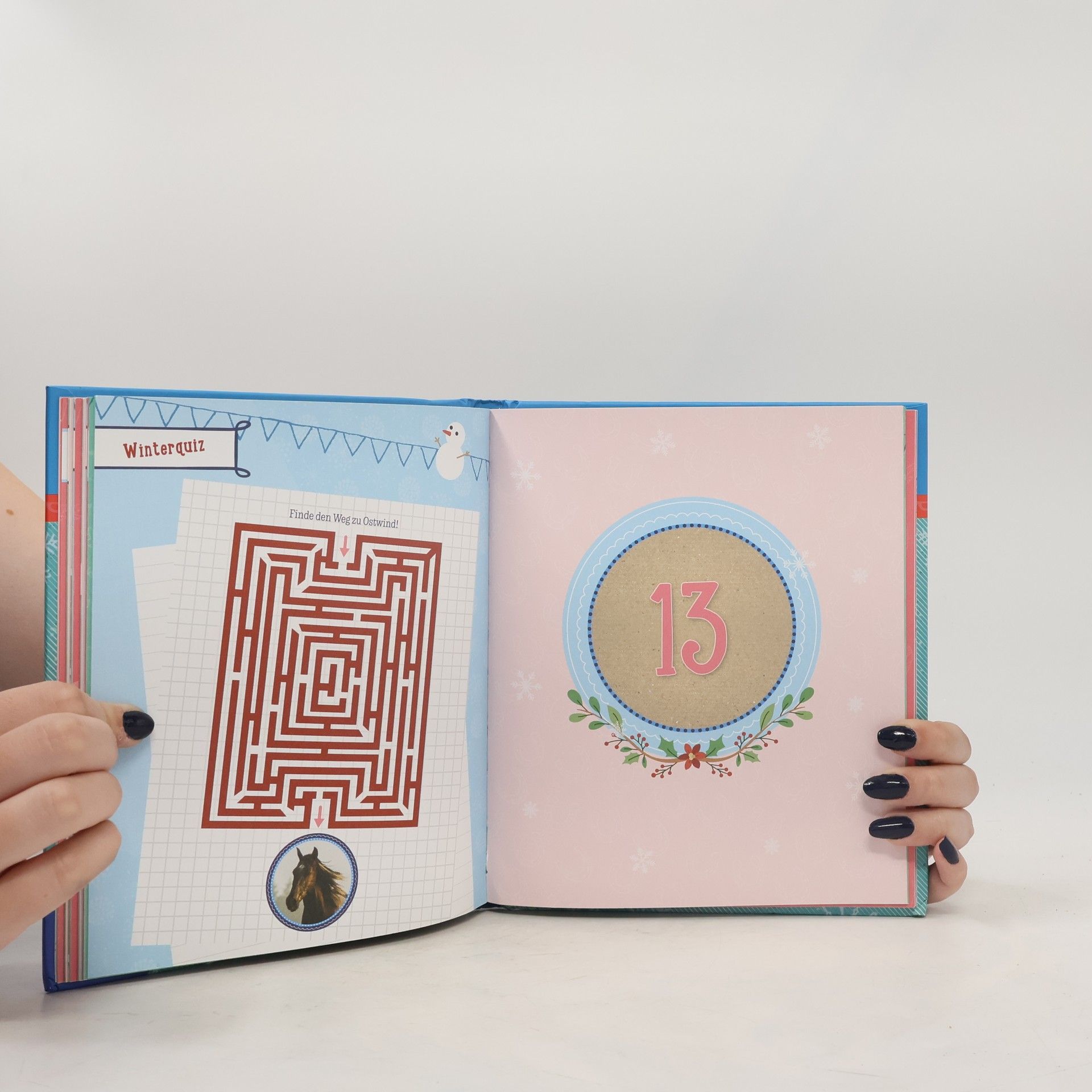 Alias Entertainment GmbH Ostwind: Mein kreativer Adventskalender