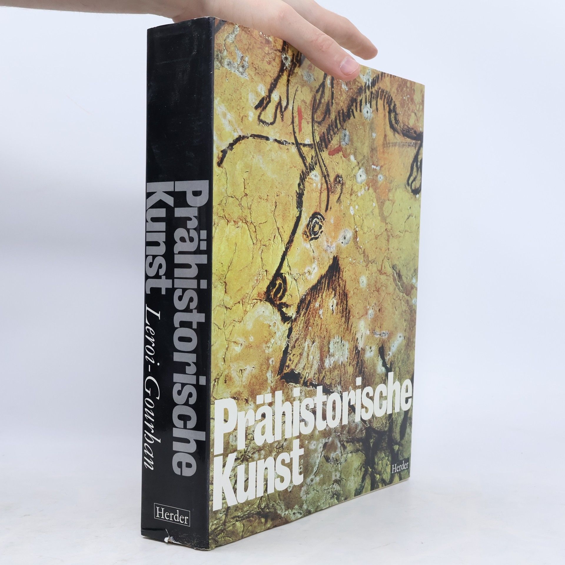 André Leroi-Gourhan Prähistorische Kunst