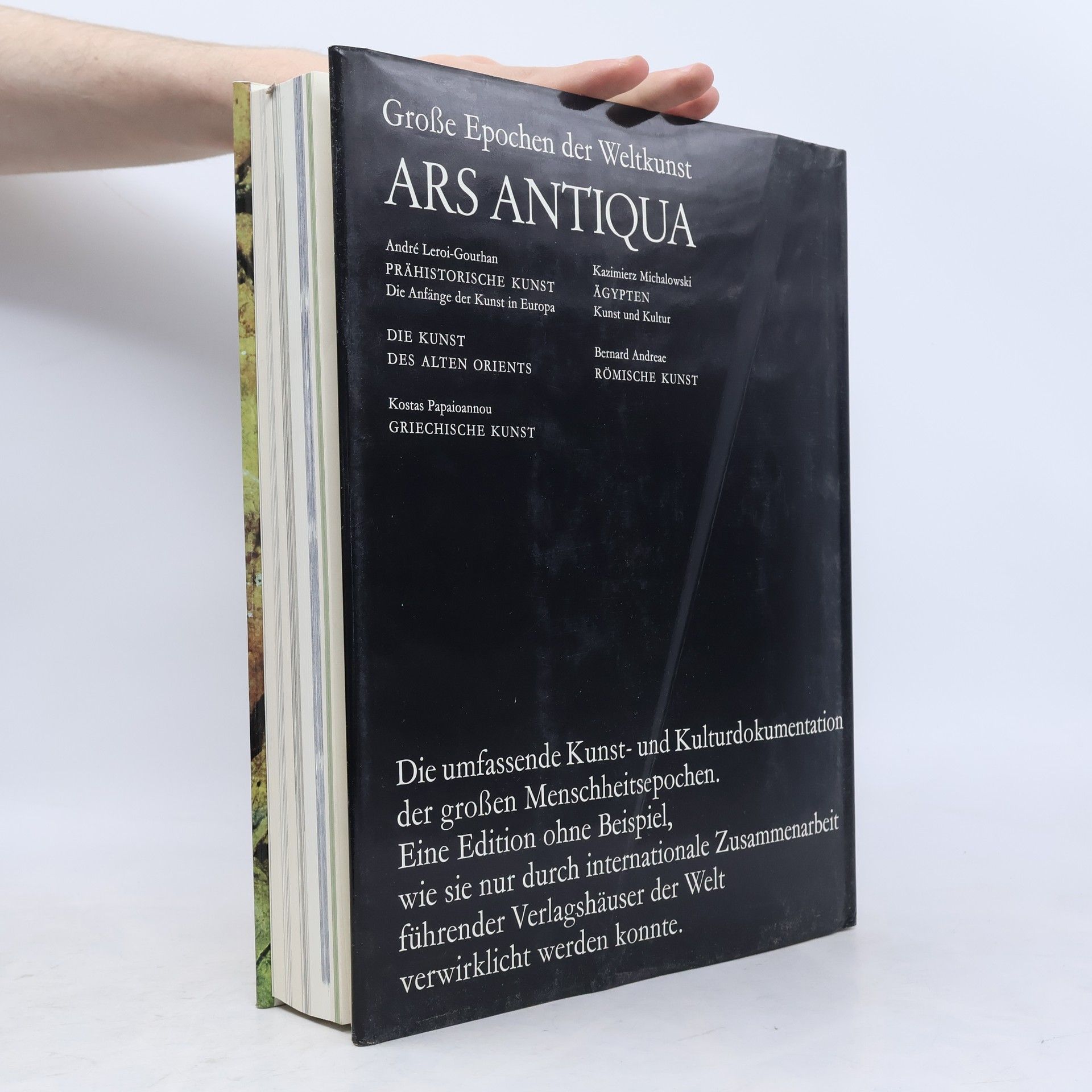 André Leroi-Gourhan Prähistorische Kunst
