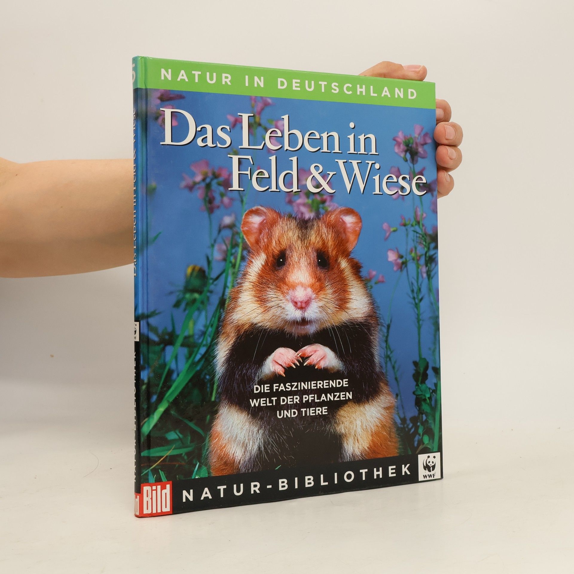 Regine Watscheid Natur in Deutschland 5. Das Leben in Feld & Wiese
