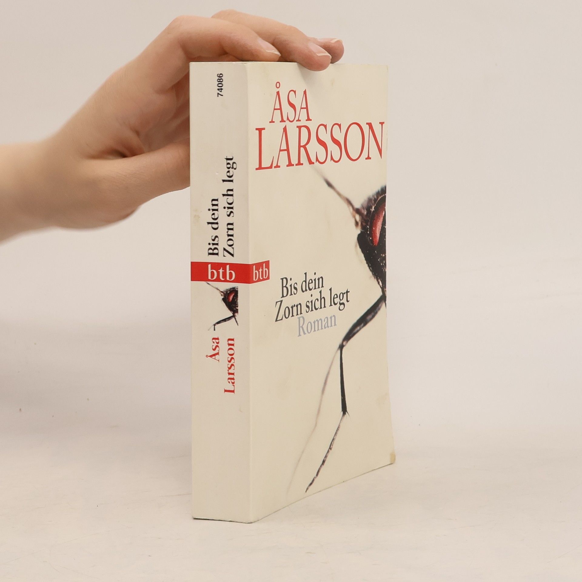 Åsa Larsson Bis dein Zorn sich legt