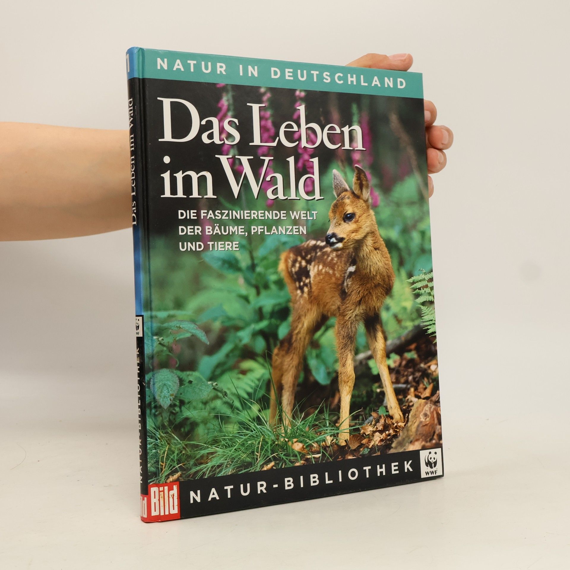 Regine Watscheid Natur in Deutschland 1. Das Leben im Wald