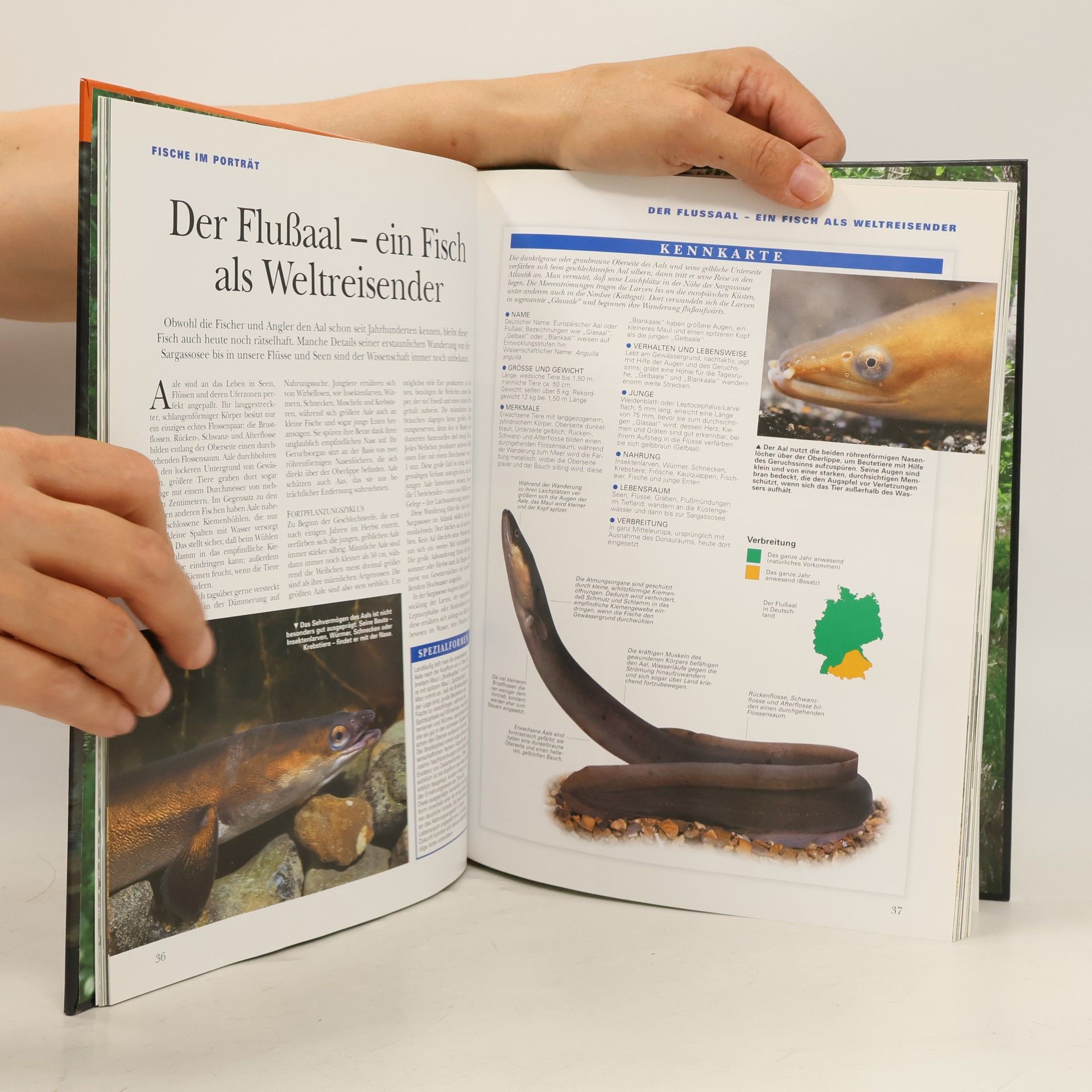 Angelika Lang Bild-Natur-Bibliothek WWF