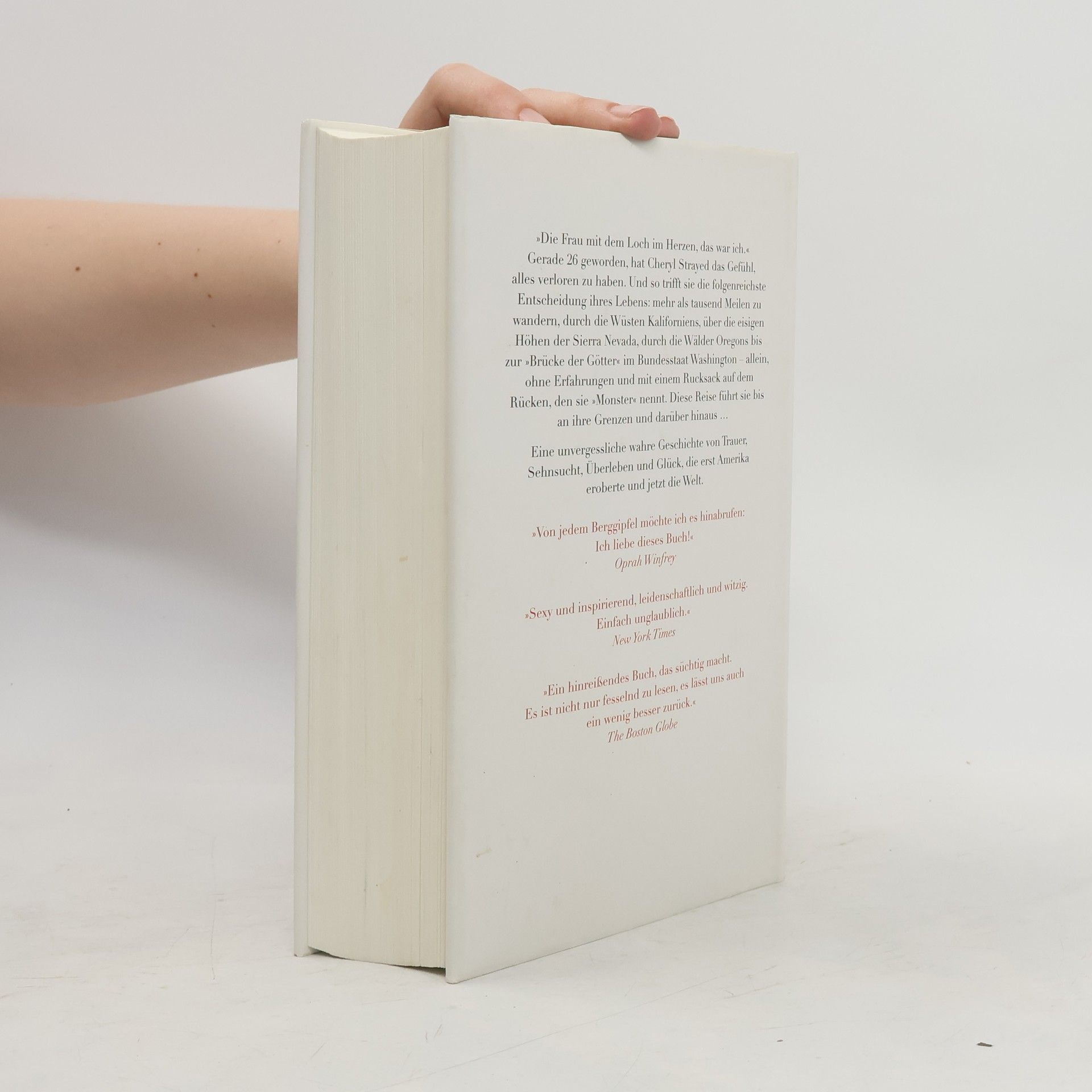 Cheryl Strayed Der grosse Trip