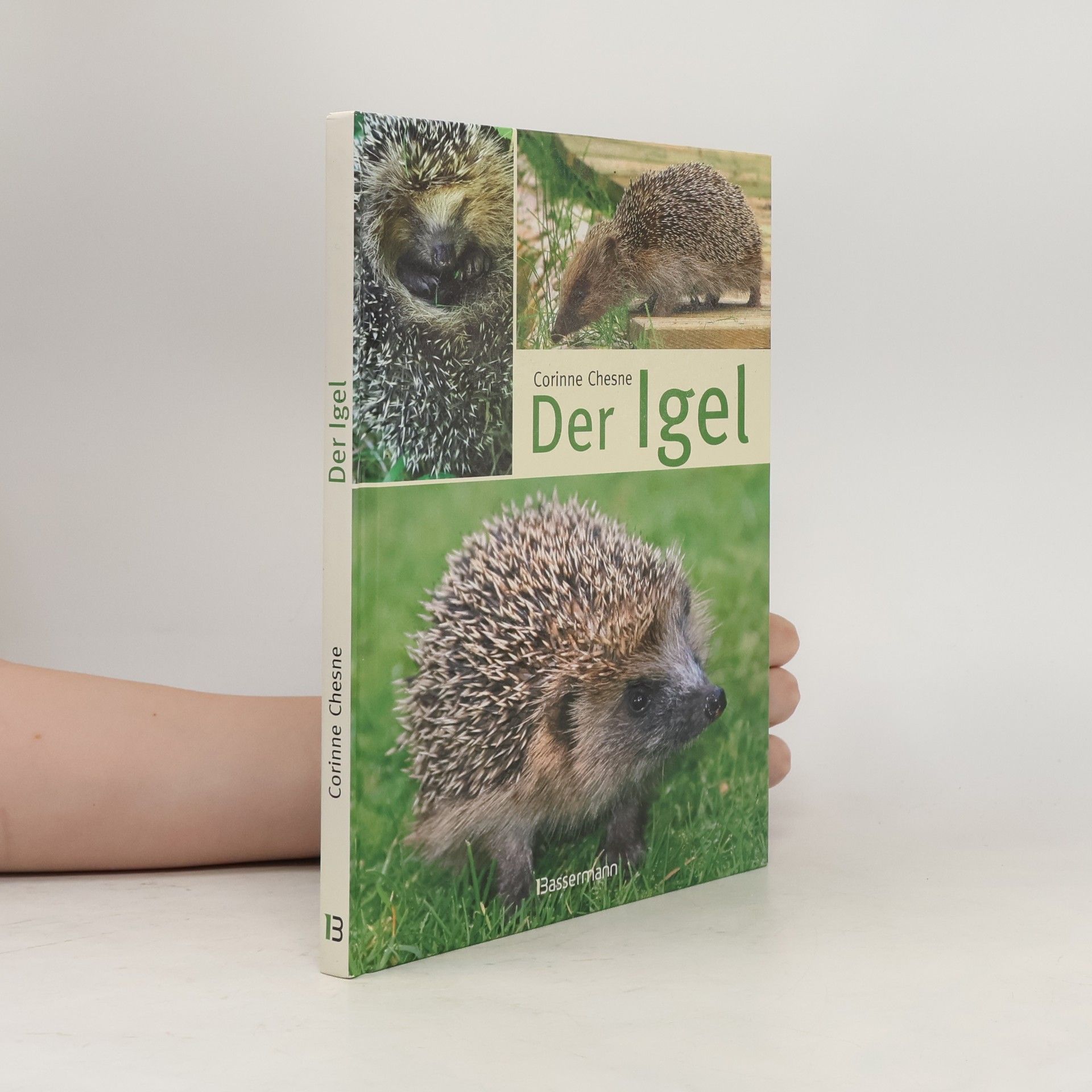 Corinne Chesne Der Igel