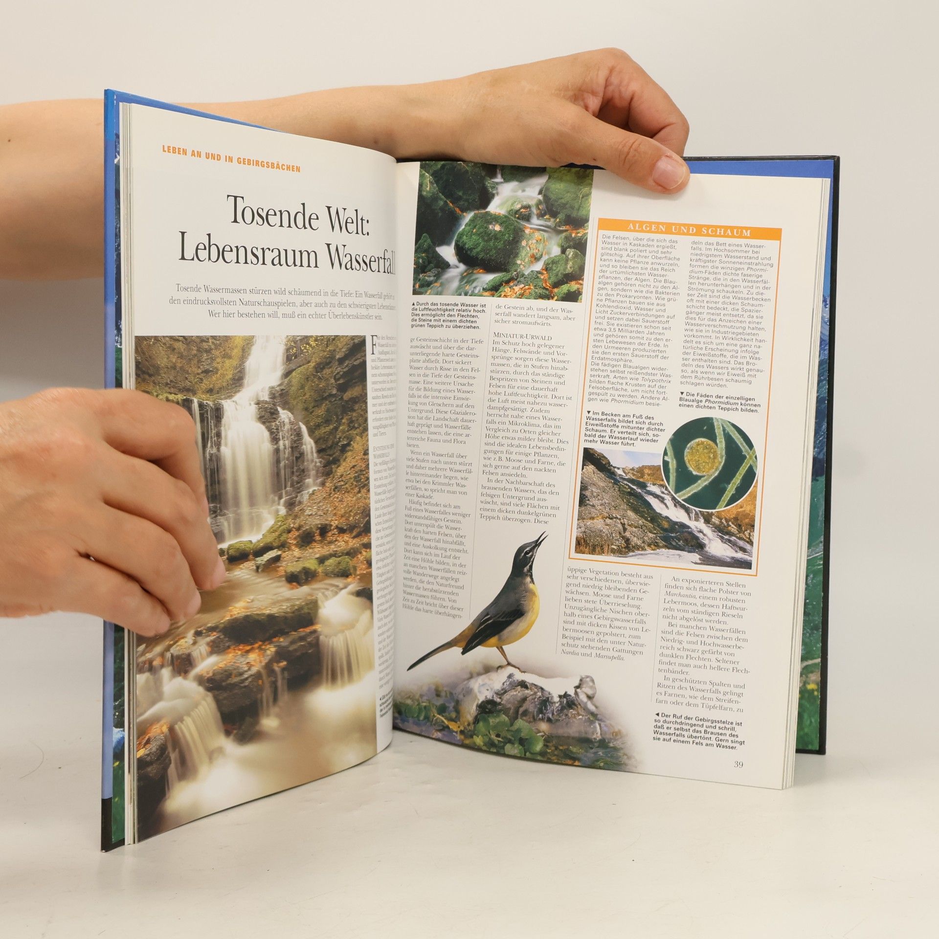 Bärbel Oftring Bild-Natur-Bibliothek WWF