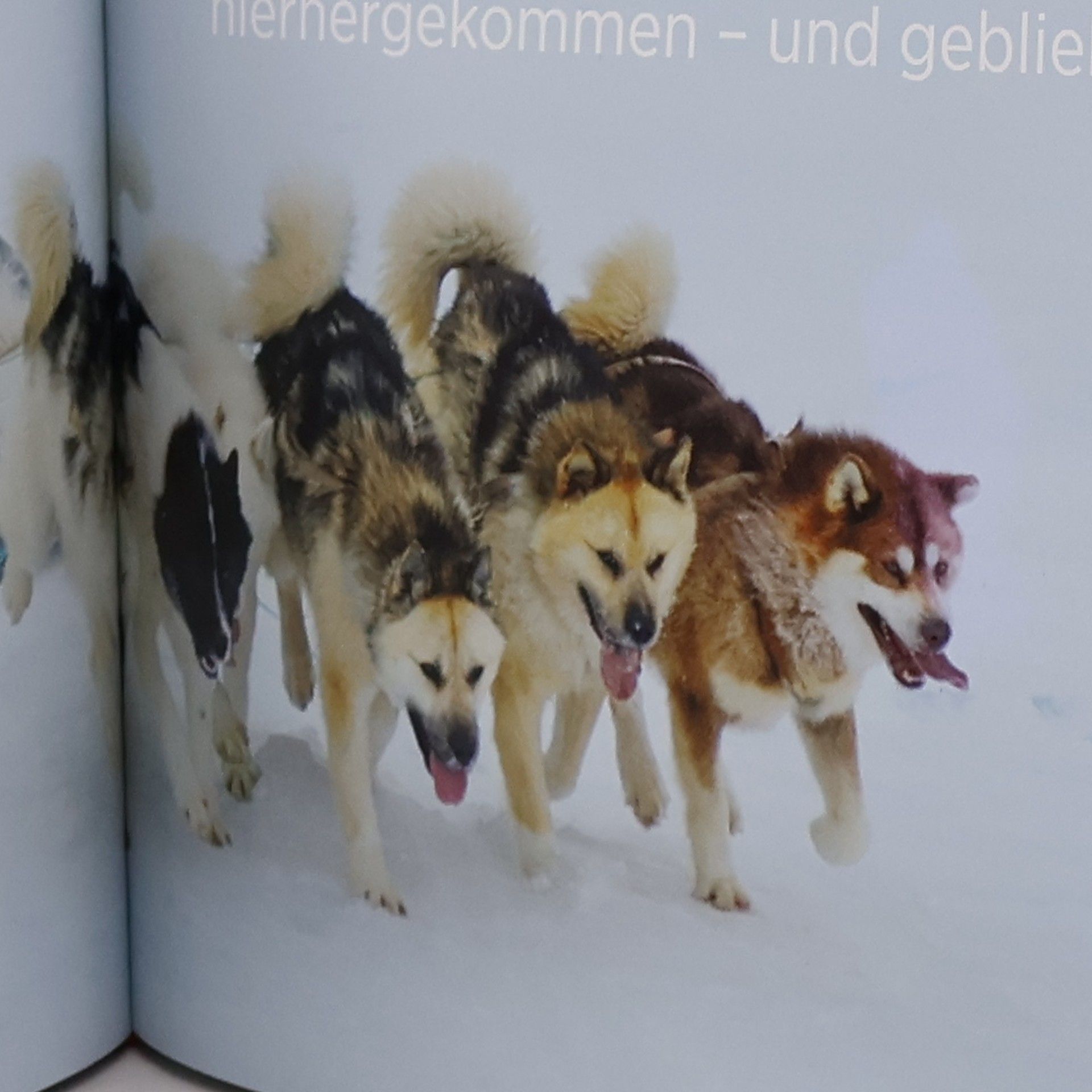 Arved Fuchs Aus Abenteuern lernen