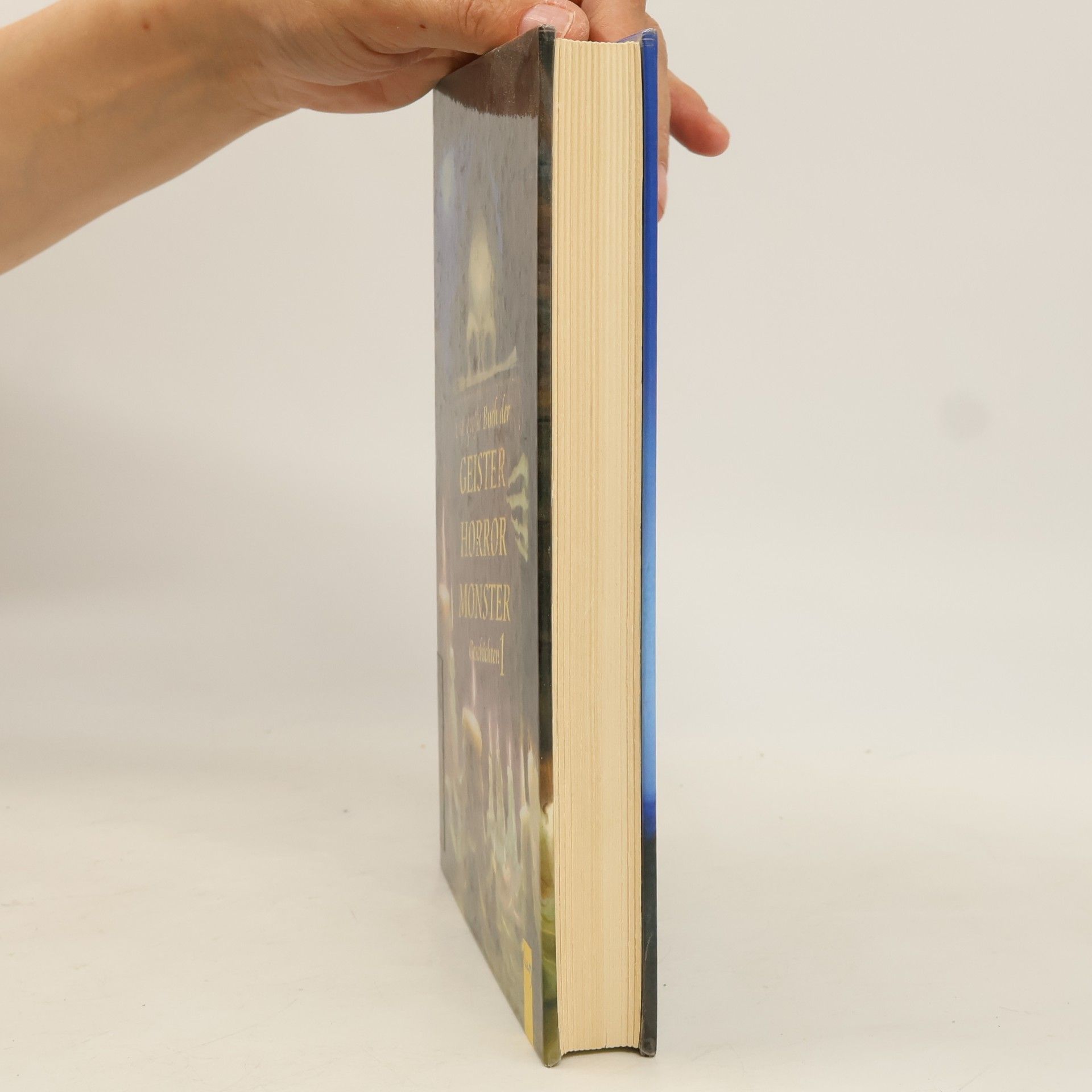 Terry Deary Das grosse Buch der Geister-, Horror-, Monster-Geschichten