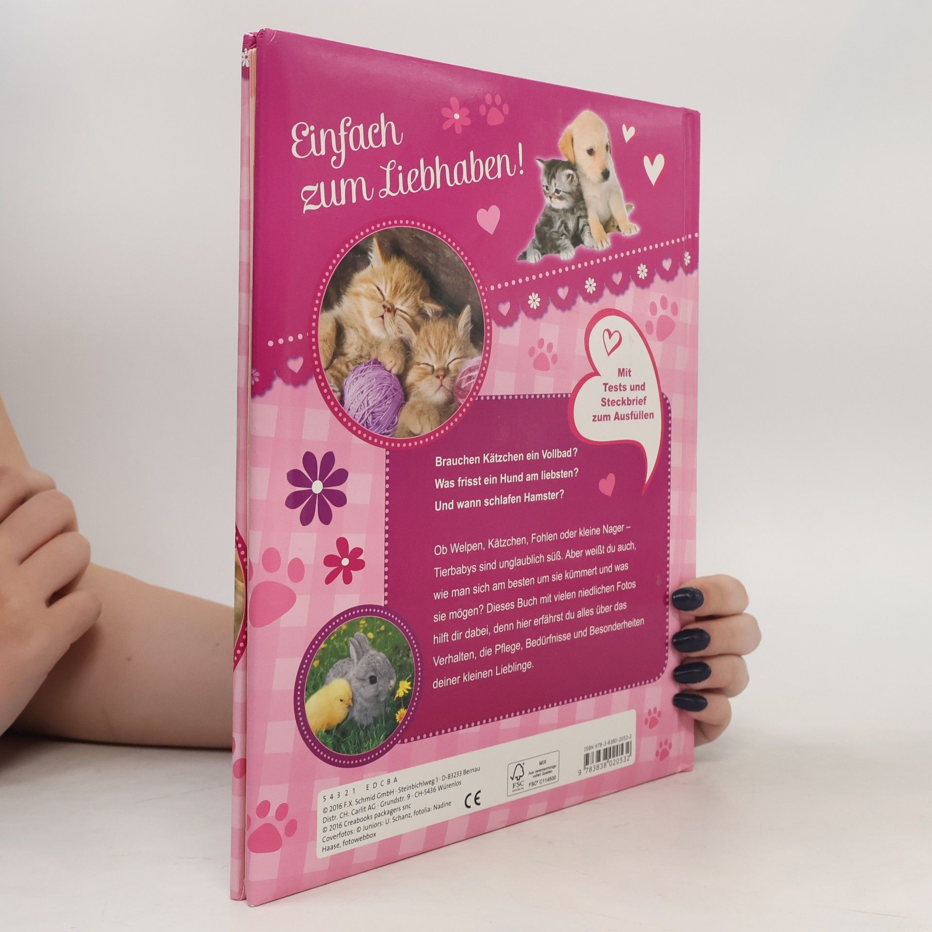 Laura Aceti Kleine Tiere - große Liebe