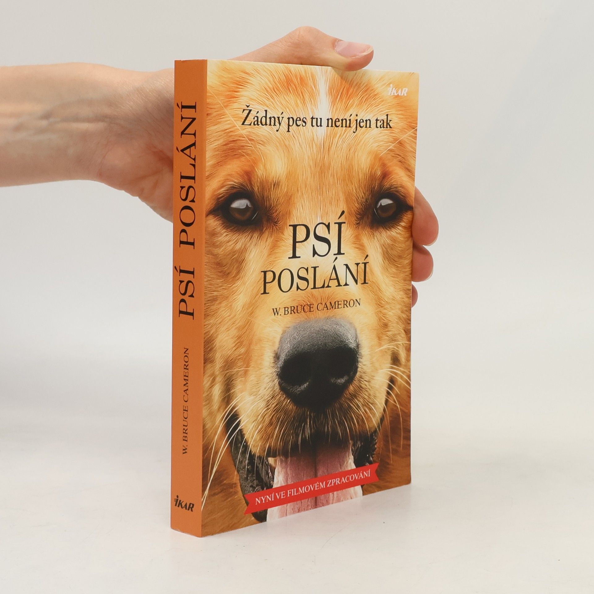 W. Bruce Cameron Psí poslání. Žádný pes tu není jen tak
