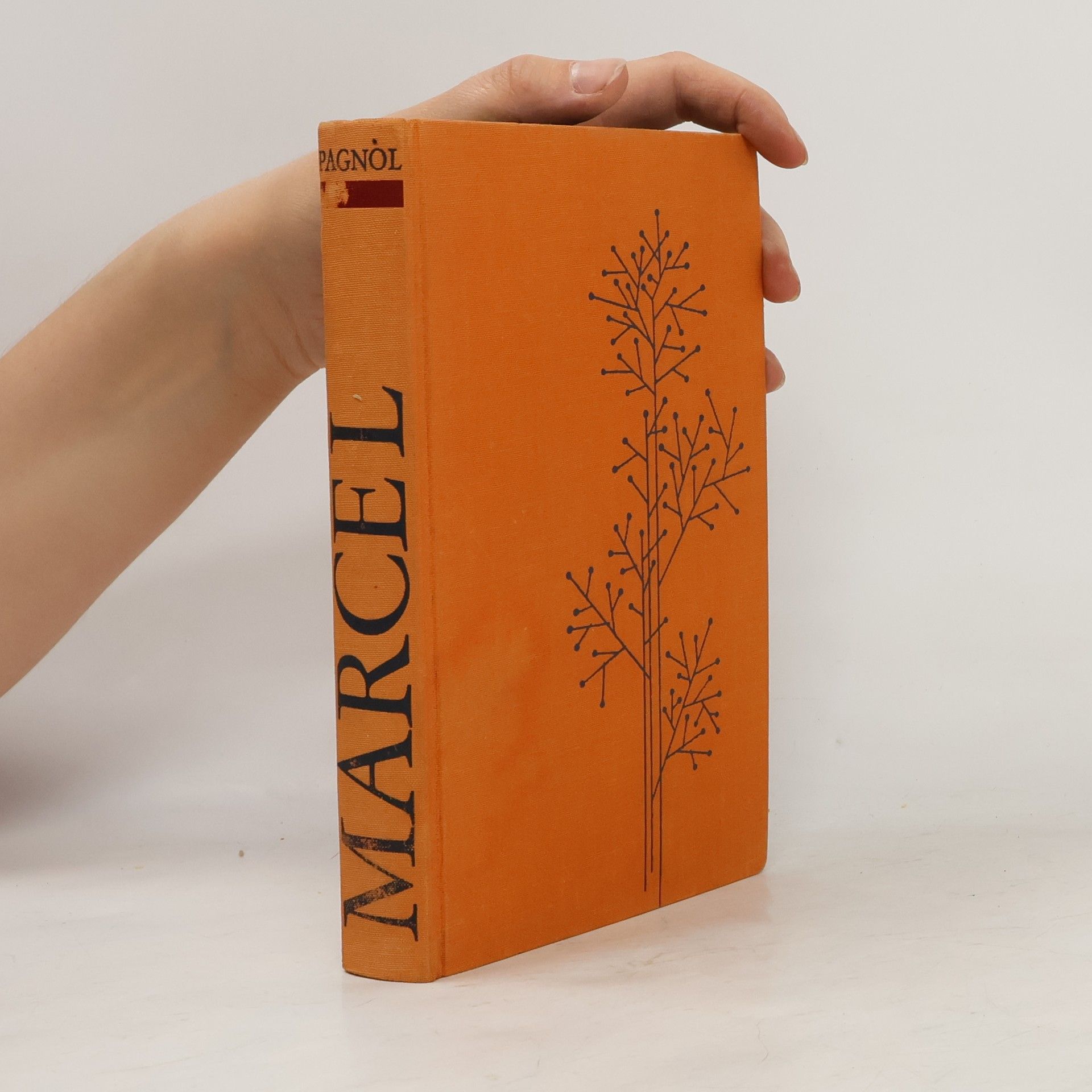 Marcel